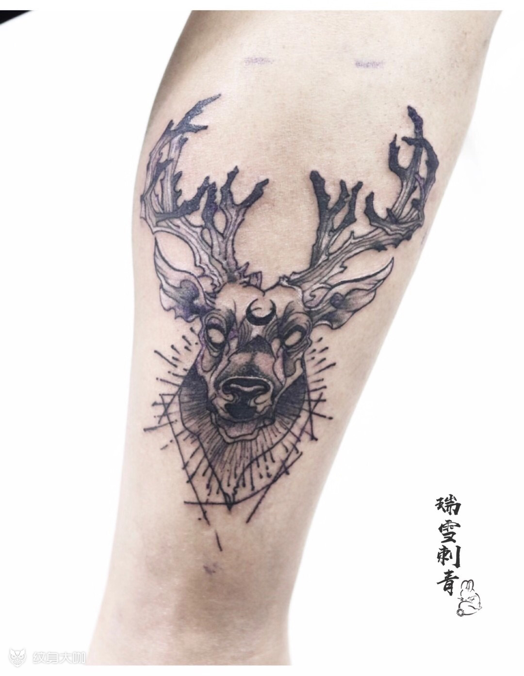 鹿头_纹身图案手稿图片_刘瑞雪的纹身作品集