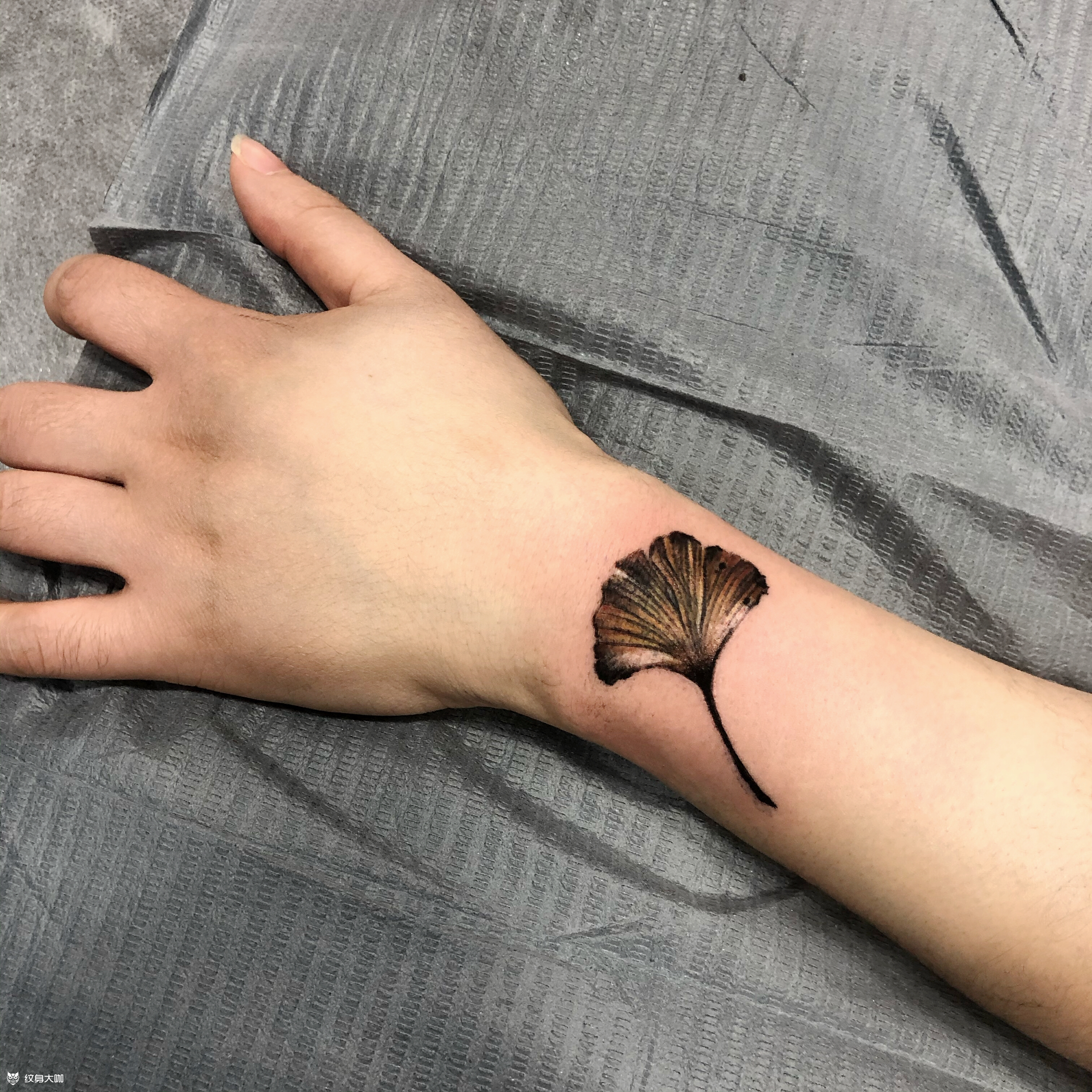 银杏叶纹身_纹身图案手稿图片_杨洋【开心鬼】的纹身作品集