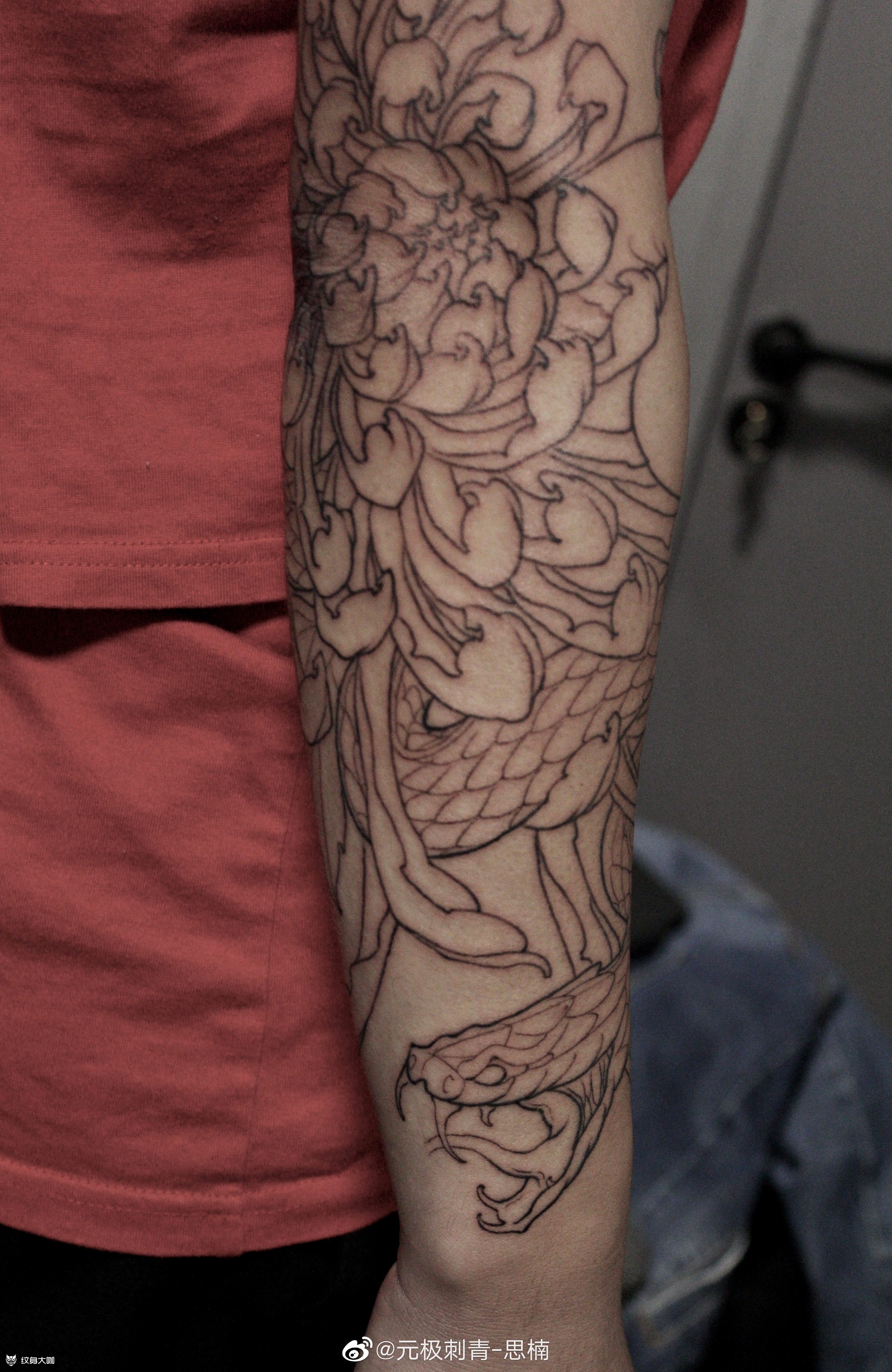 菊花龙蛇花臂第一回合