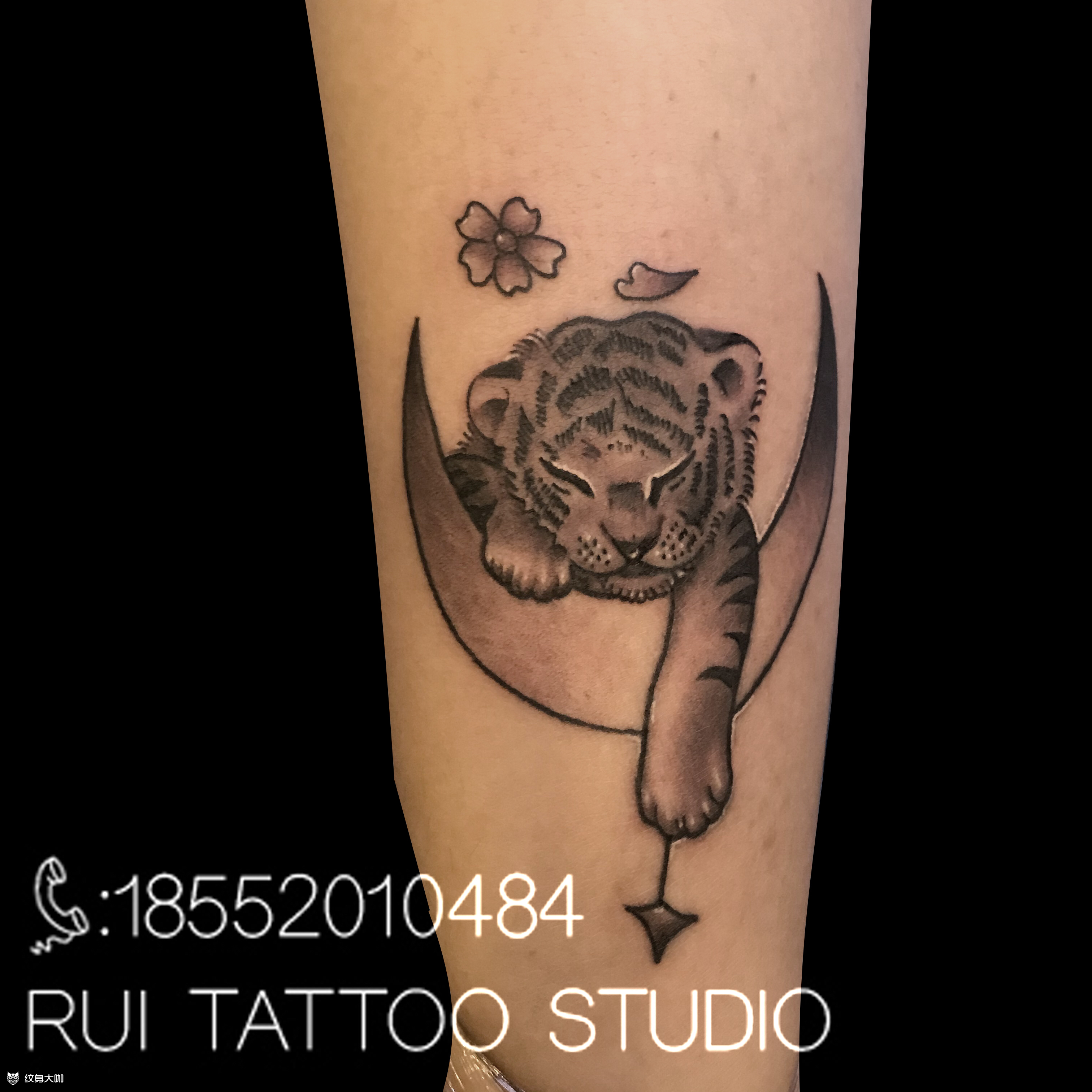 小老虎_纹身图案手稿图片_李刚的纹身作品集