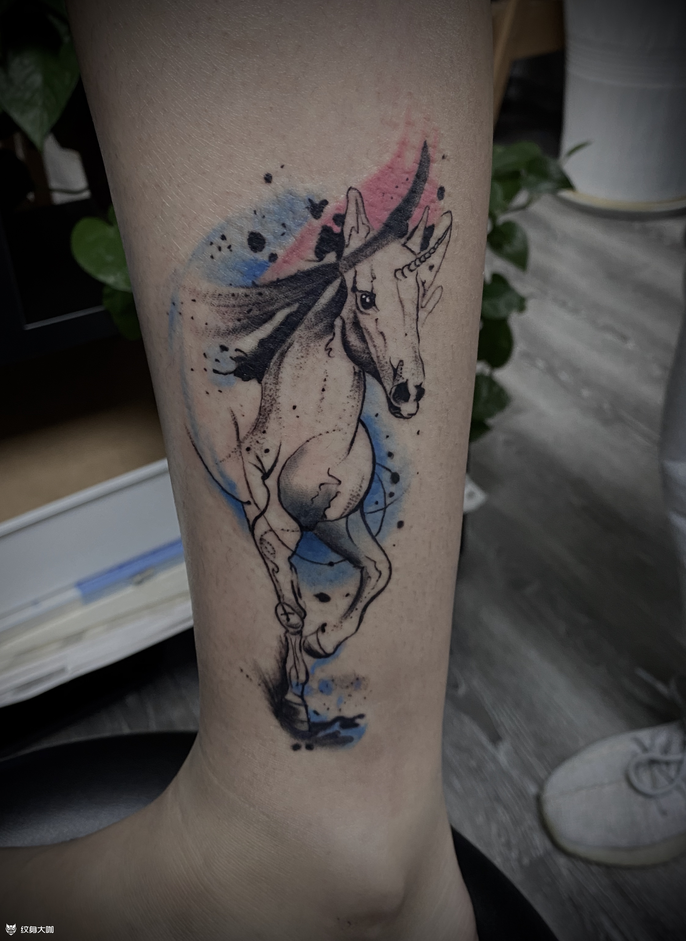 独角兽_纹身图案手稿图片_墨川的纹身作品集