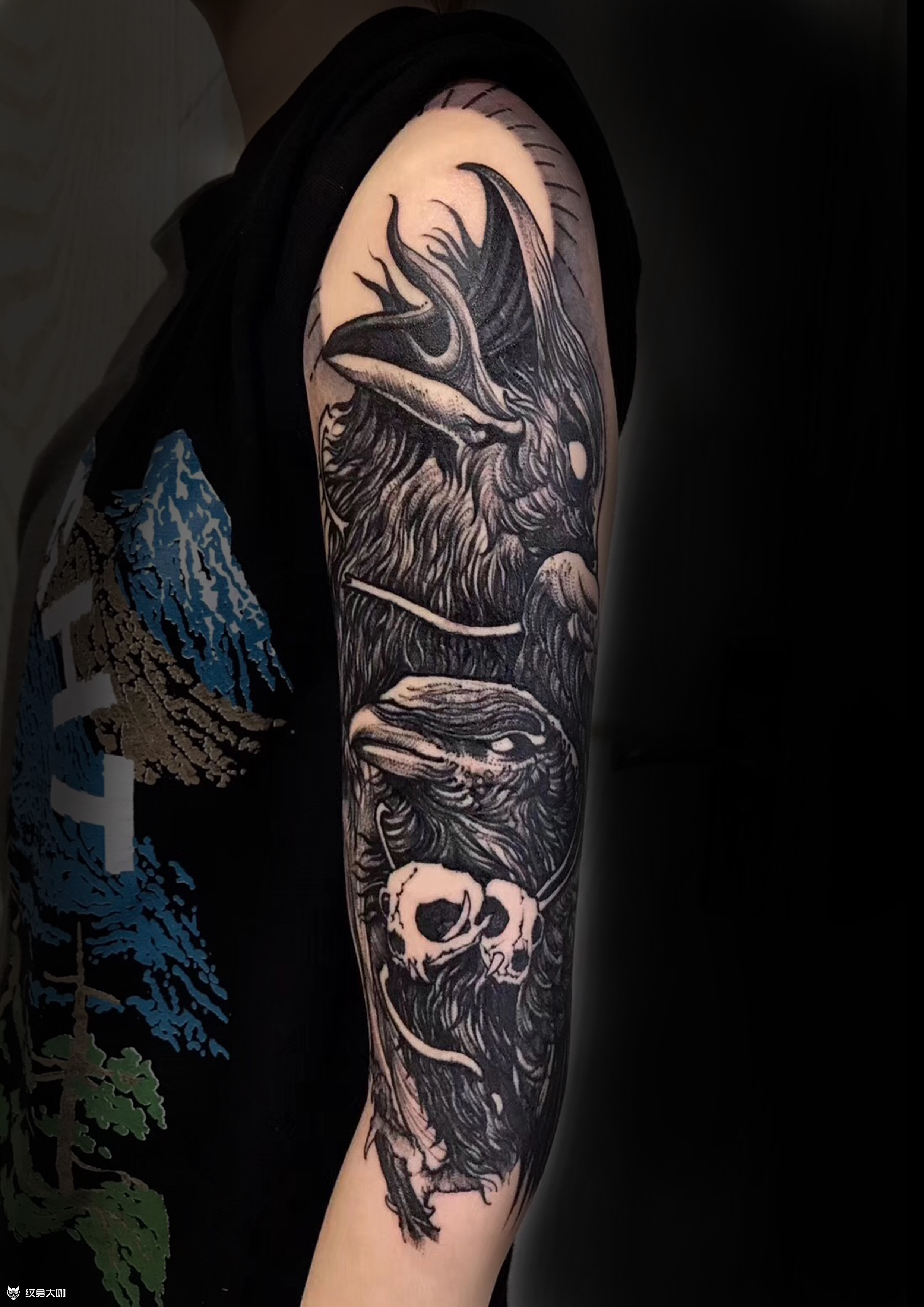 暗黑素描乌鸦_纹身图案手稿图片_杰子的纹身作品集