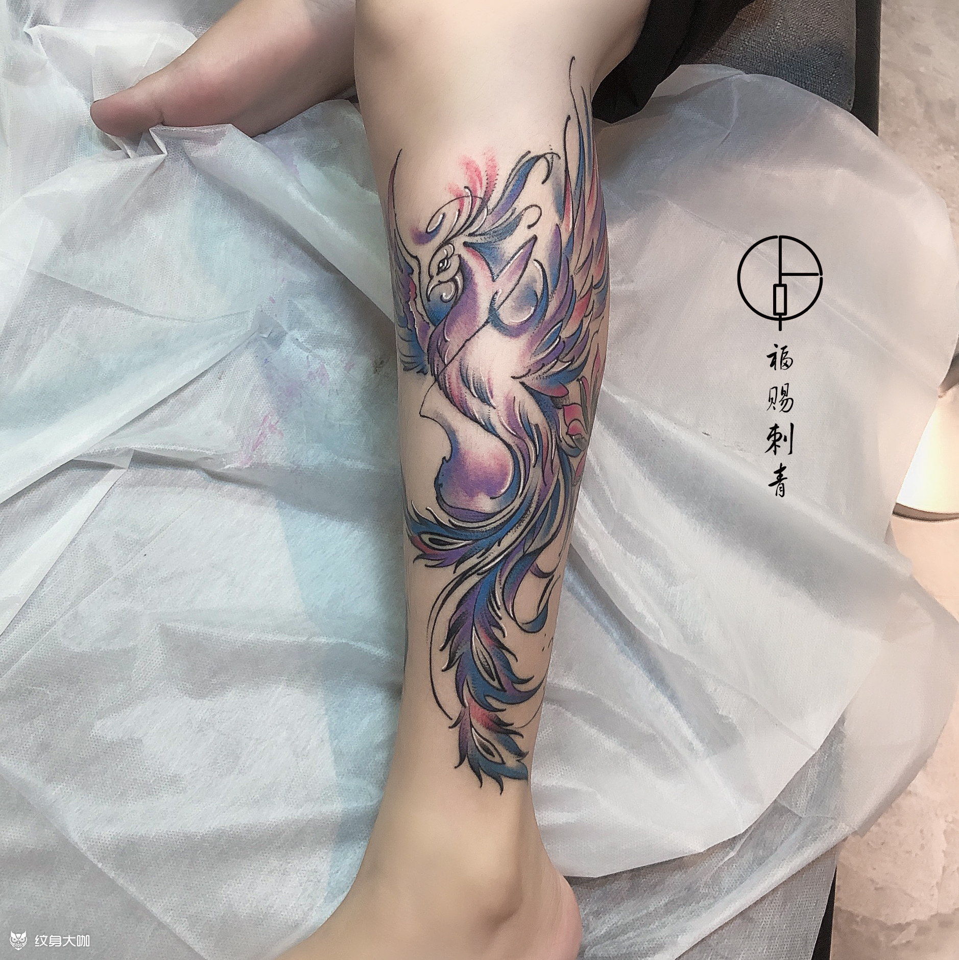 凤凰_纹身图案手稿图片_福赐的纹身作品集