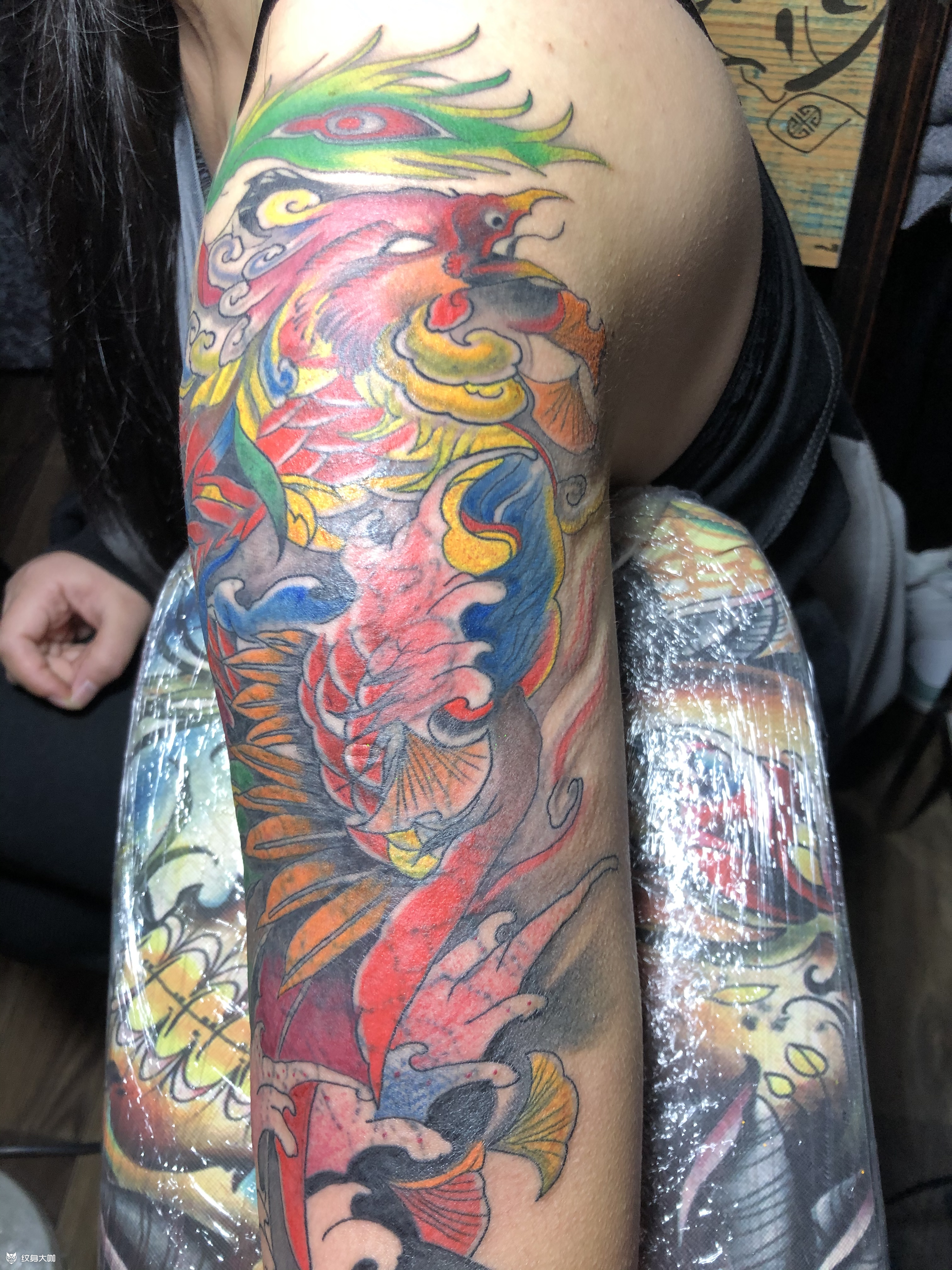 凤凰_纹身图案手稿图片_杨军的纹身作品集