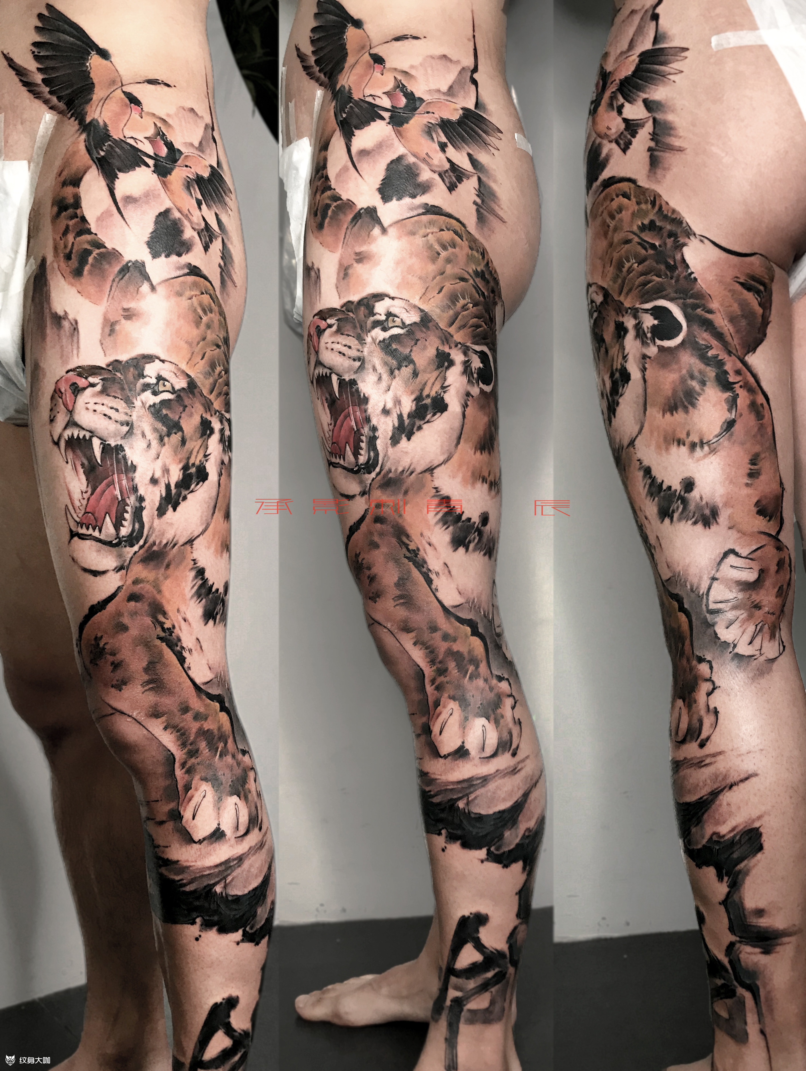 虎_纹身图案手稿图片_重庆承影的纹身作品集