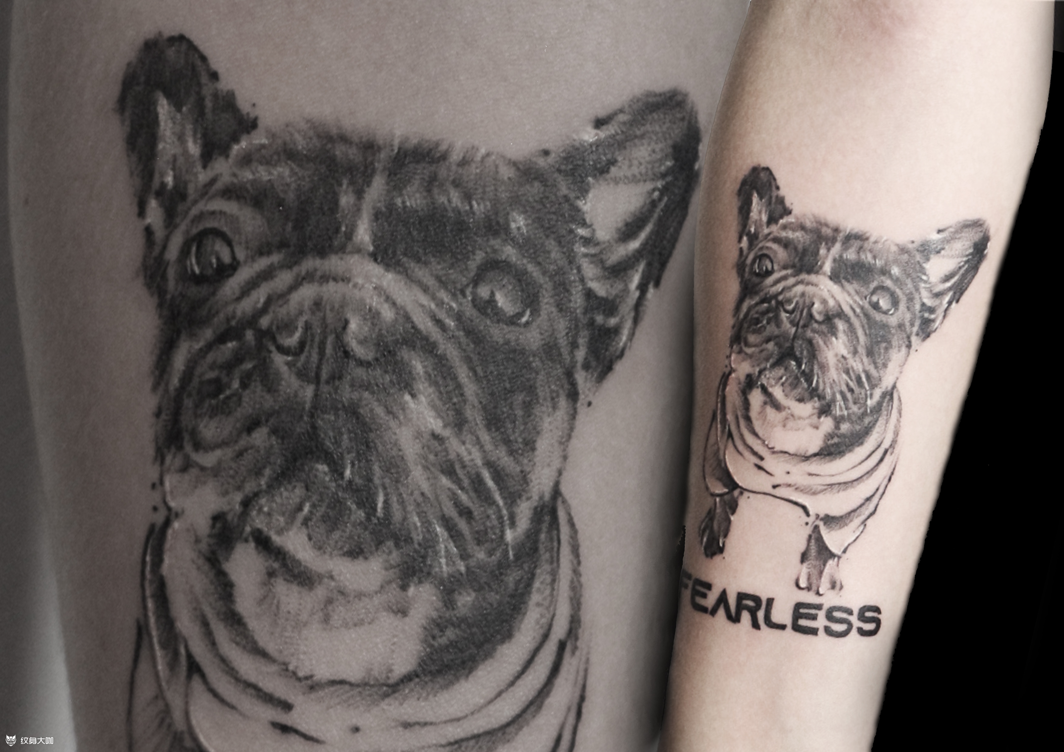 法斗_纹身图案手稿图片_猴尼玛的纹身作品集