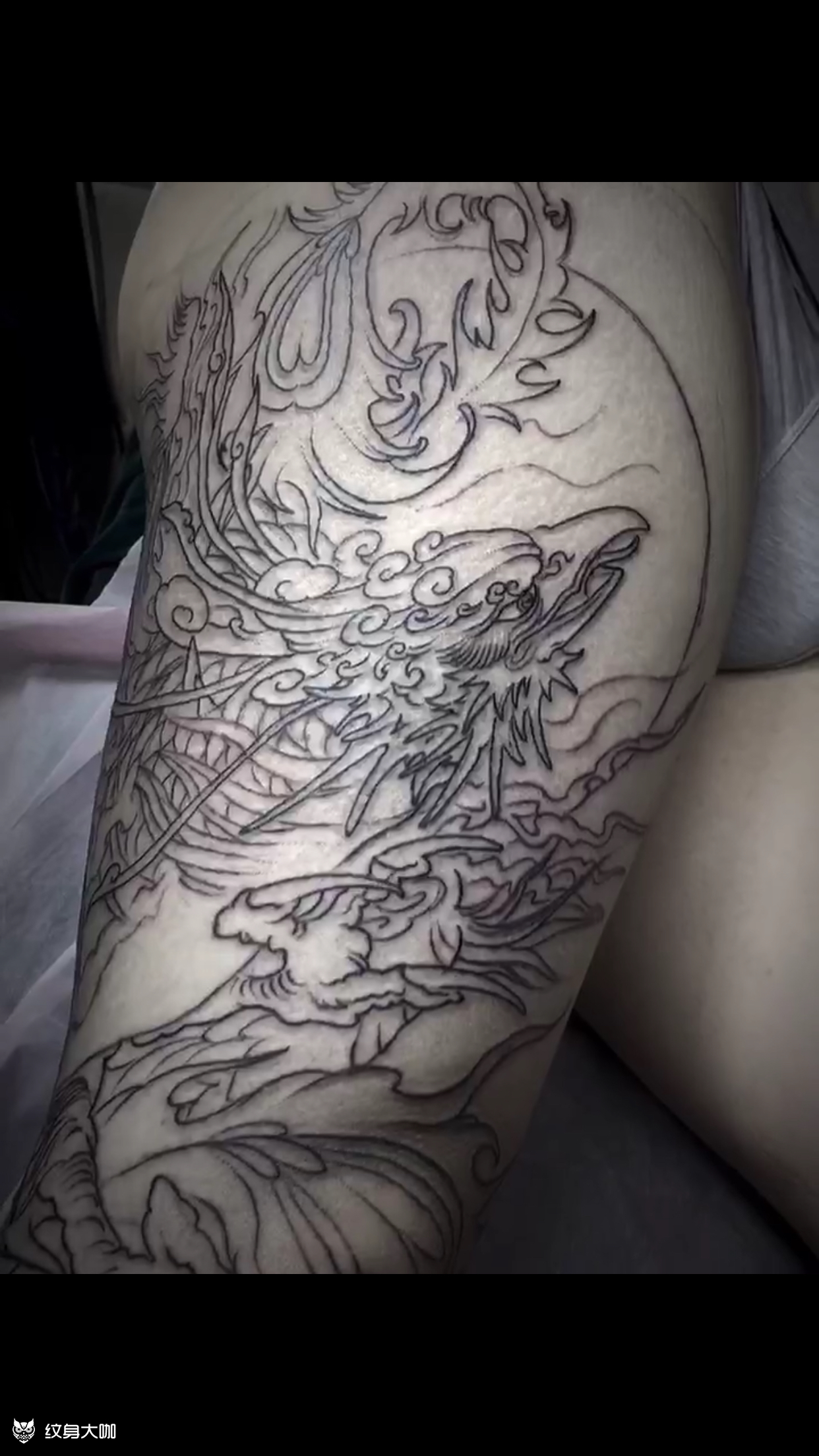 花腿凤凰下次做_纹身图案手稿图片_ 小付的纹身作品集