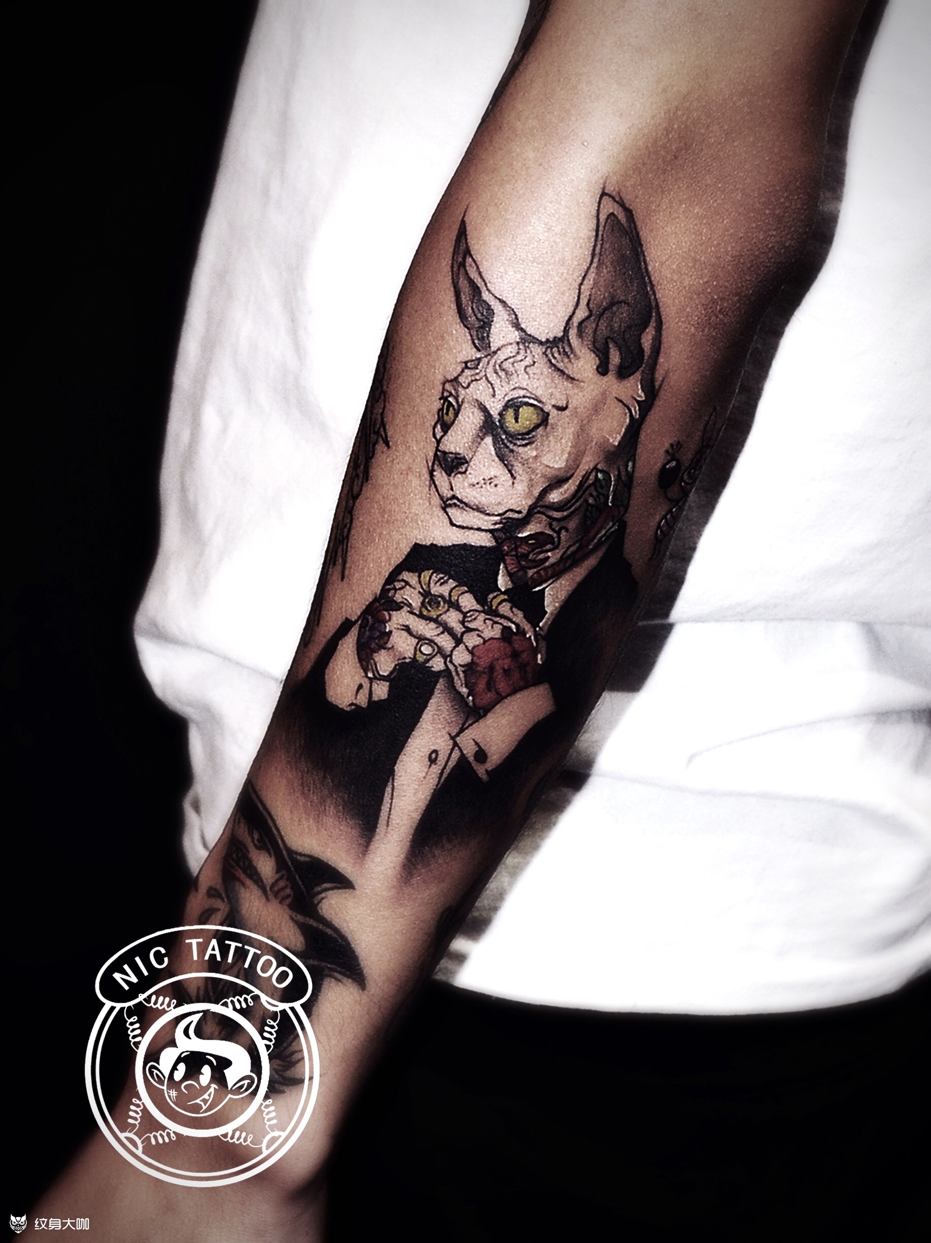 斯芬克斯猫_纹身图案手稿图片_尼克的纹身作品集