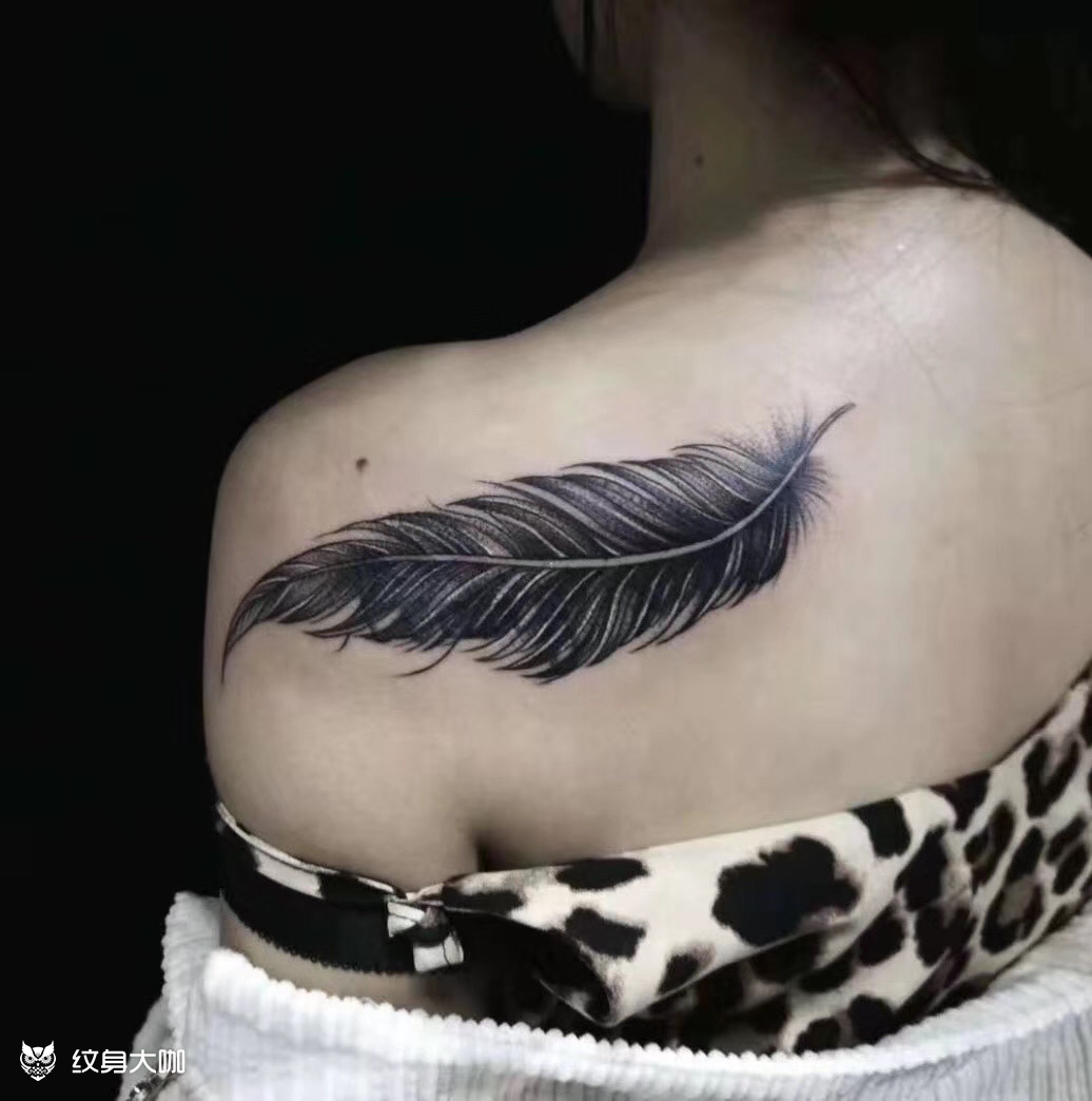 羽毛遮盖_纹身图案手稿图片_豆芽的纹身作品集