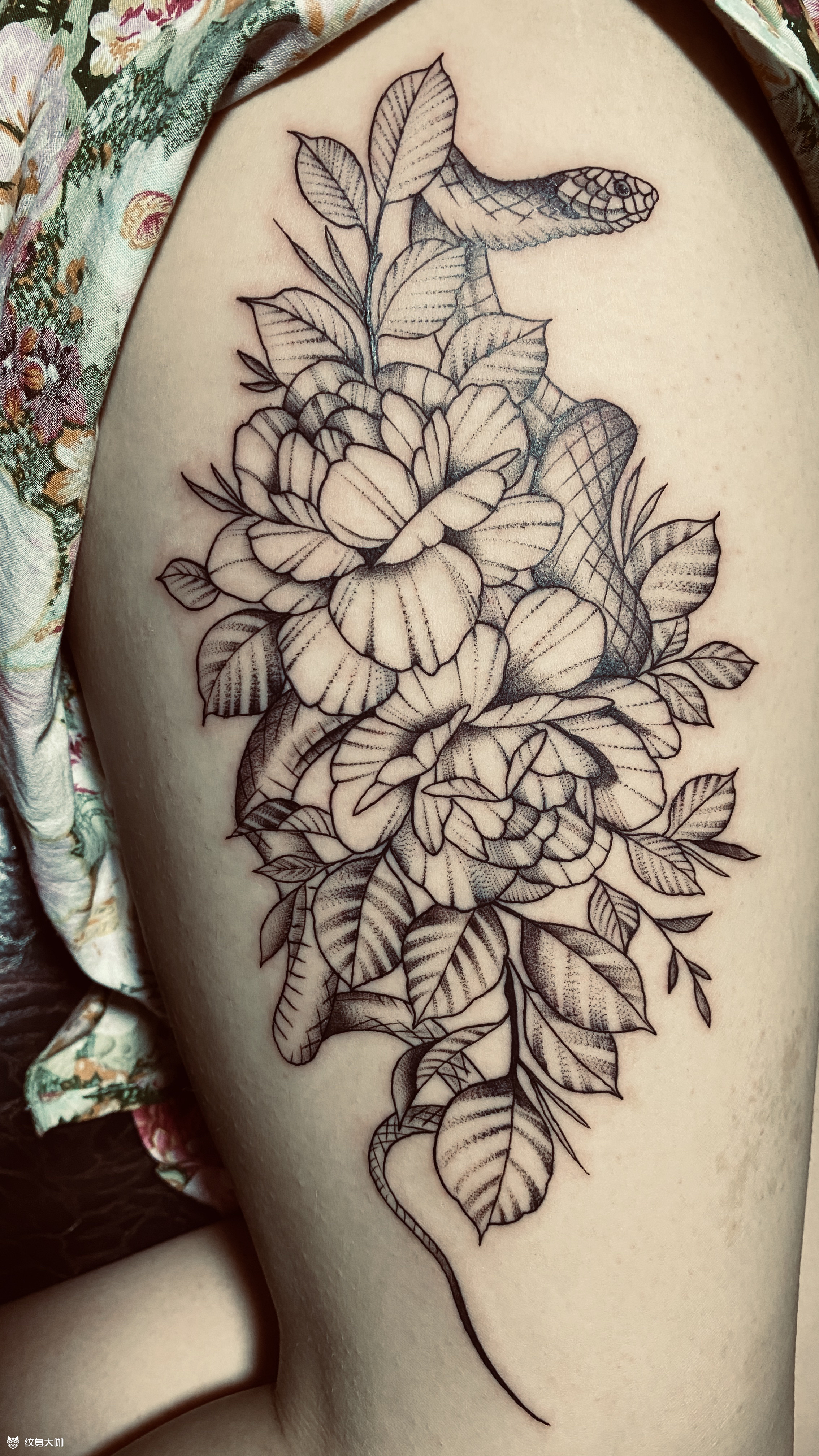 蛇缠牡丹_纹身图案手稿图片_广元心安涅盘刺客的纹身作品集