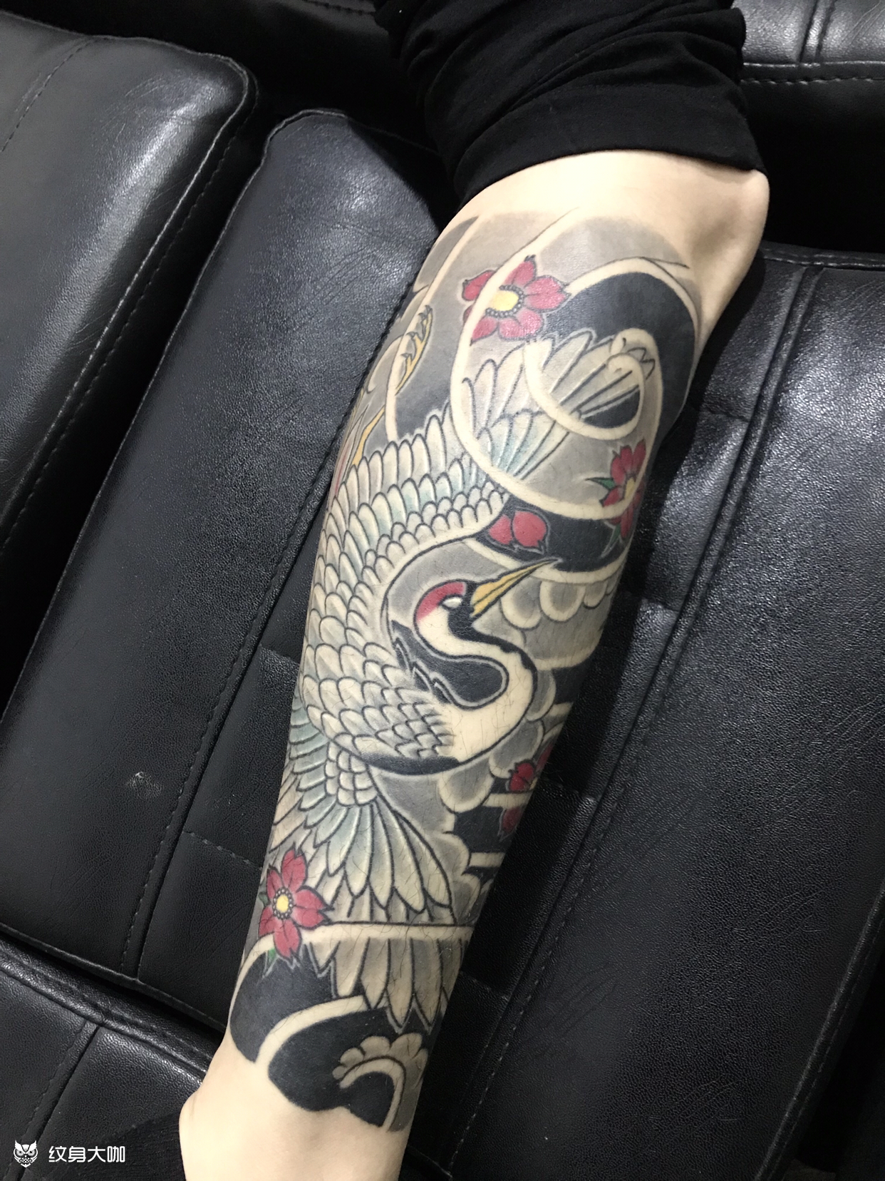 鹤包小腿_纹身图案手稿图片_靳秋生的纹身作品集