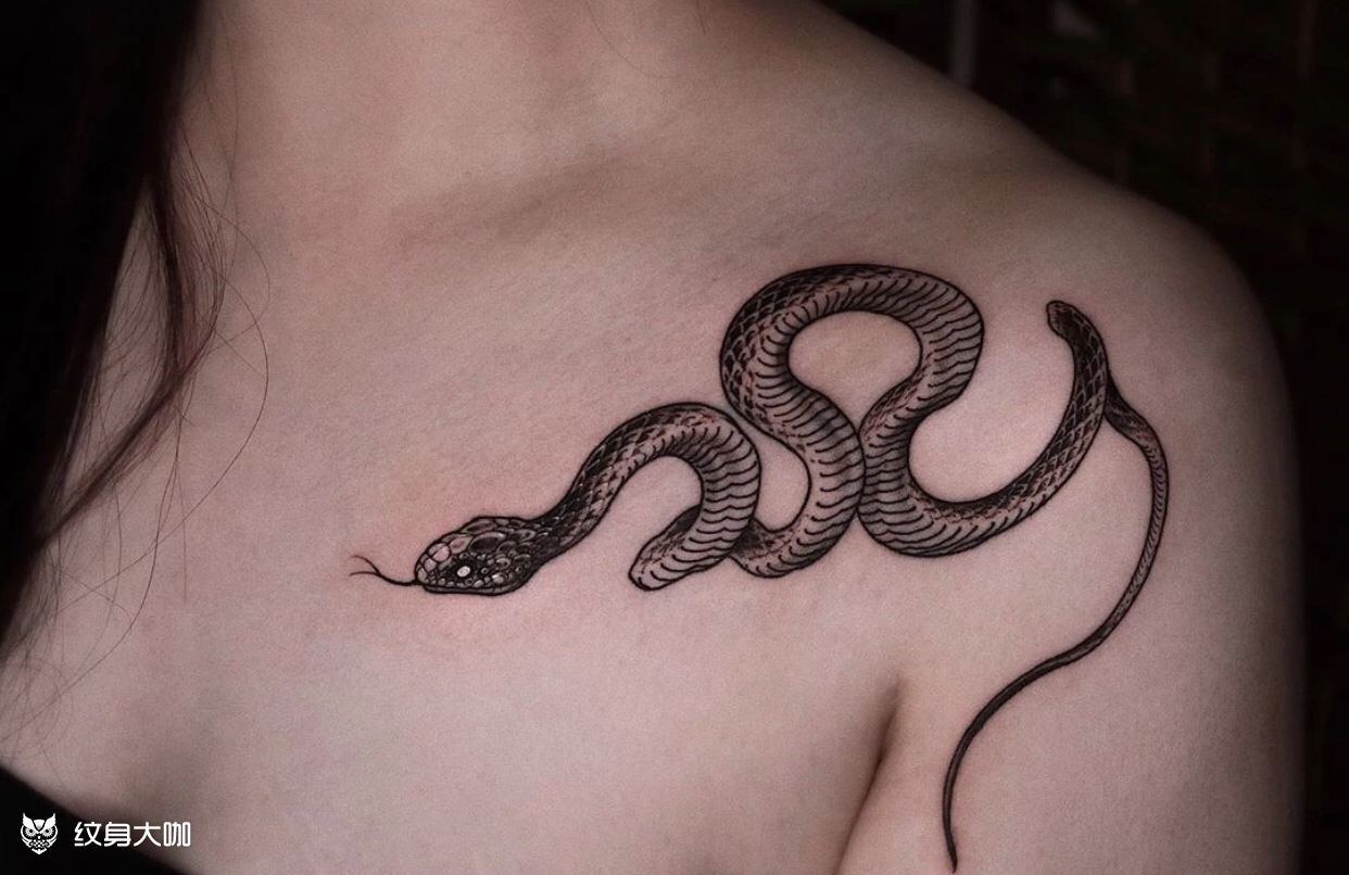 蛇_纹身图案手稿图片_周培荣的纹身作品集
