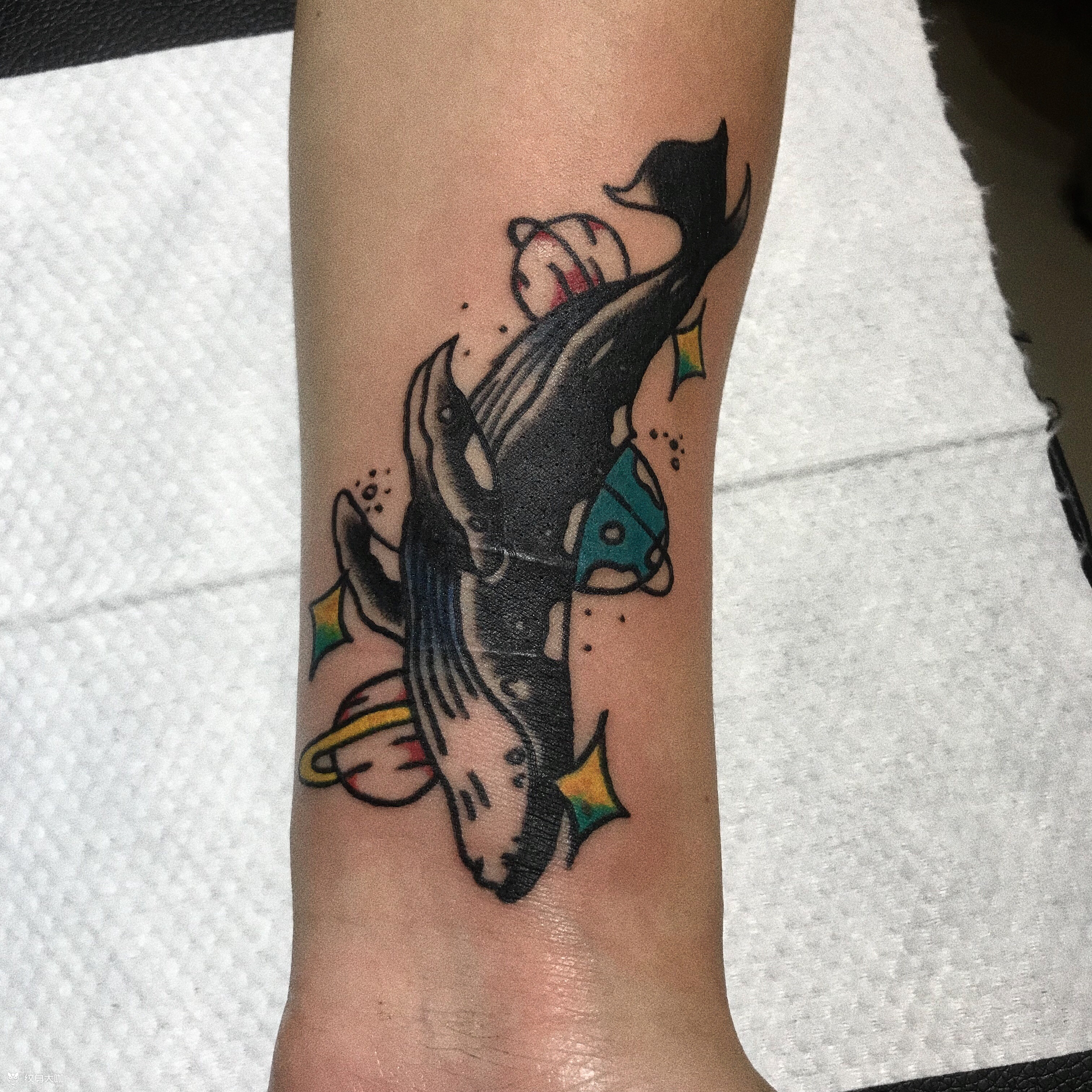 oldschool 鲸鱼_纹身图案手稿图片_jd的纹身作品集