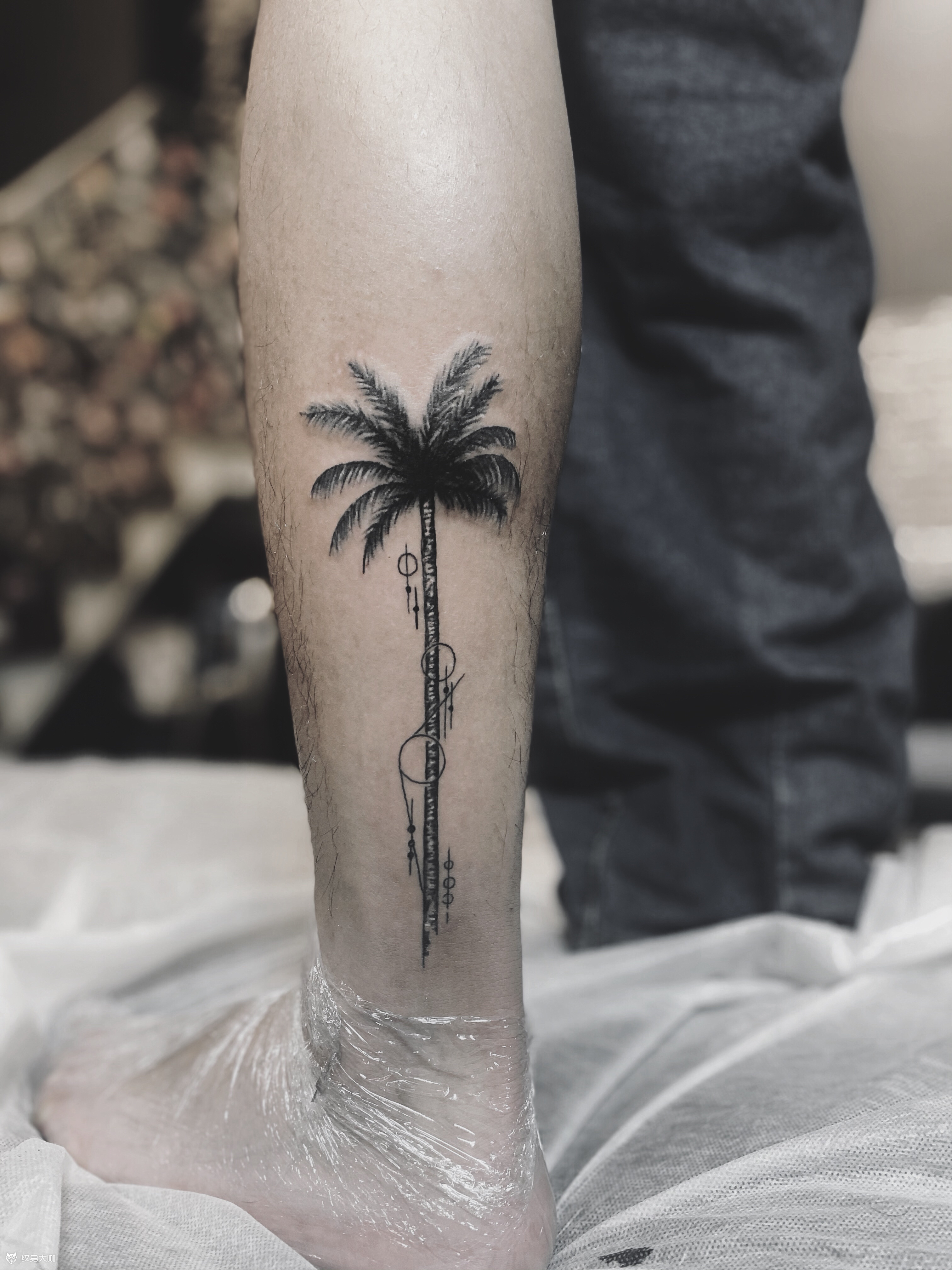 冠希椰子树98_纹身图案手稿图片_退散的纹身作品集
