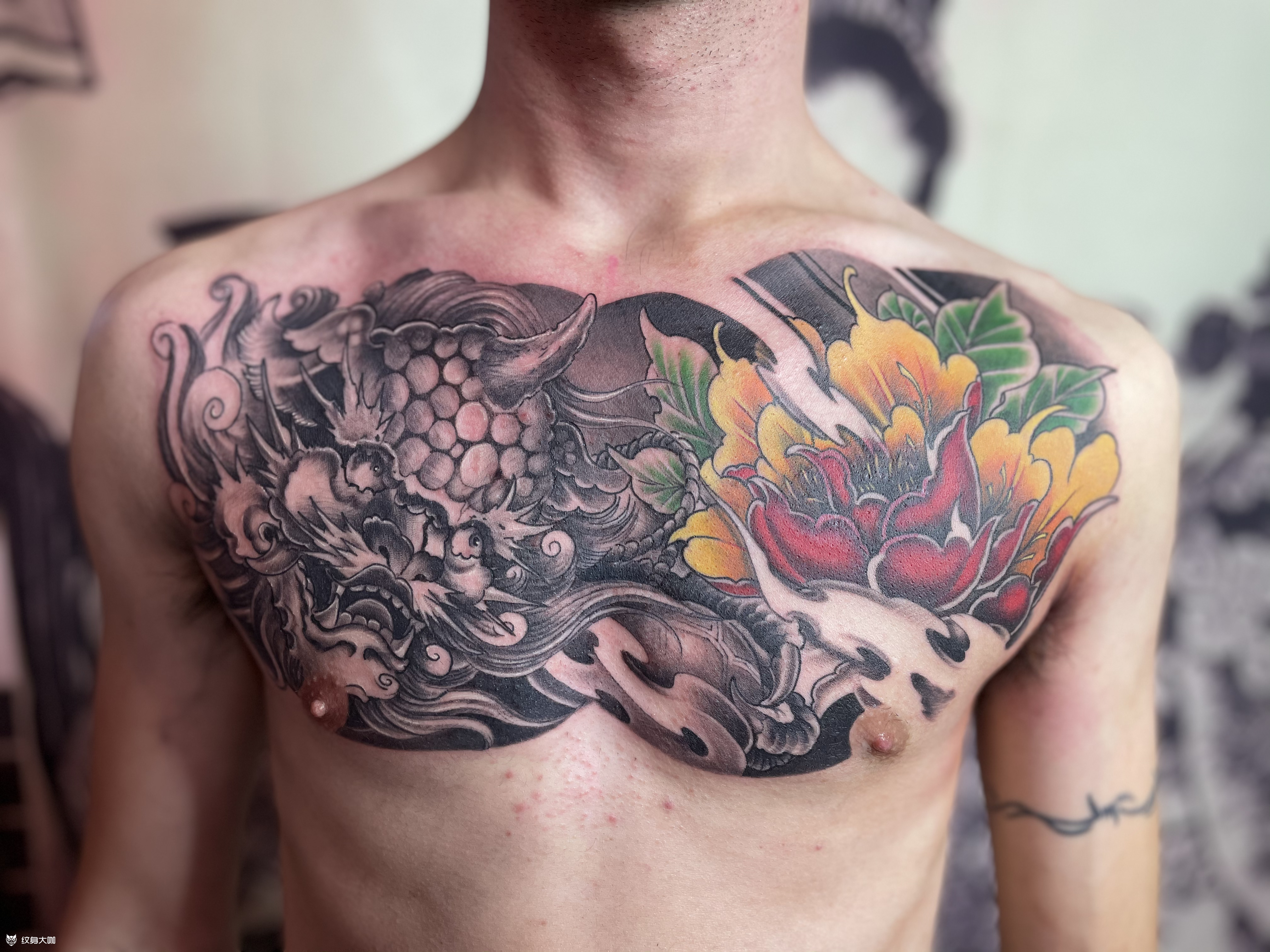 新传统花胸唐狮_纹身图案手稿图片_许建的纹身作品集