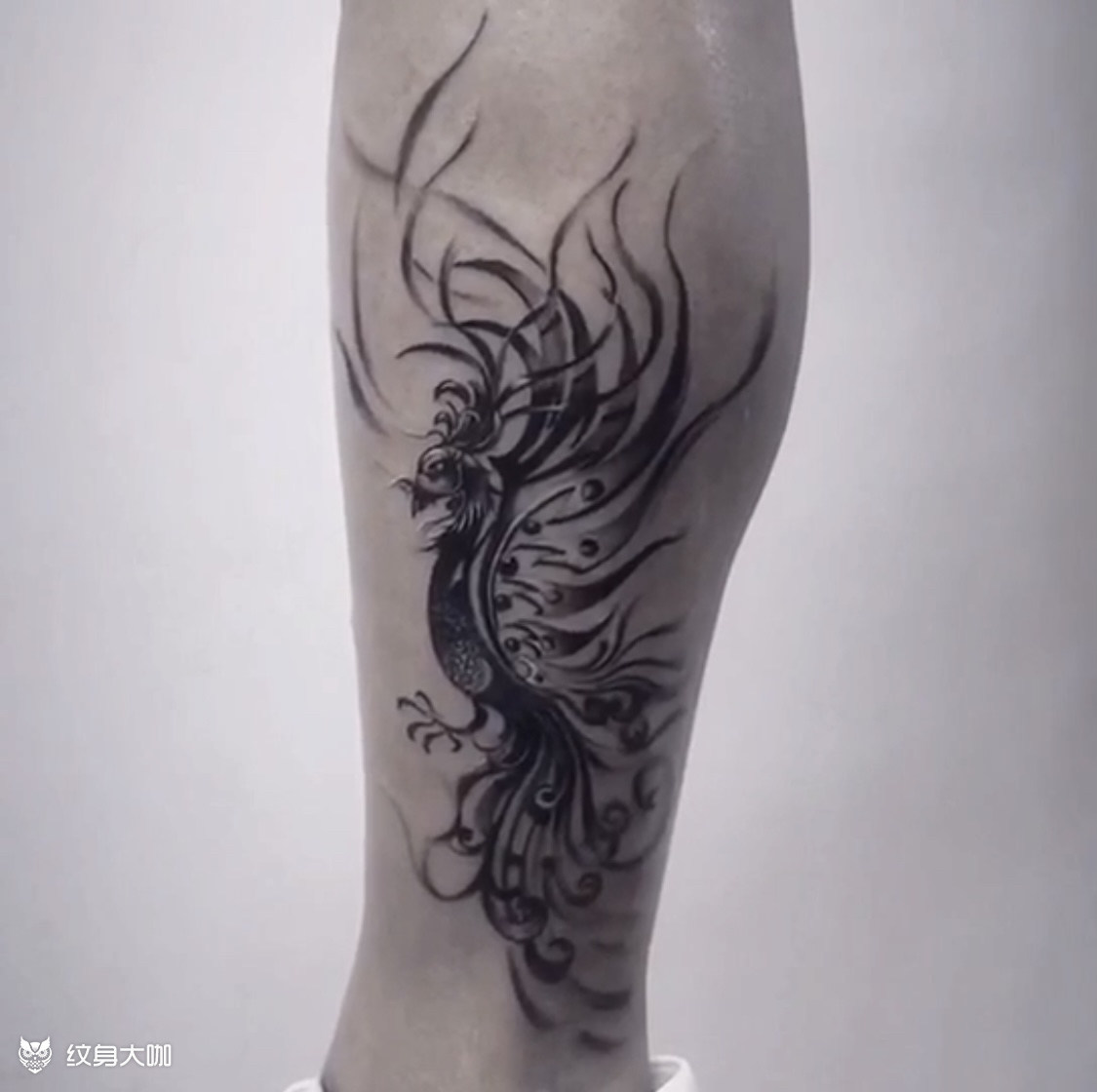 凤凰_纹身图案手稿图片_一鹏t attoo的纹身作品集