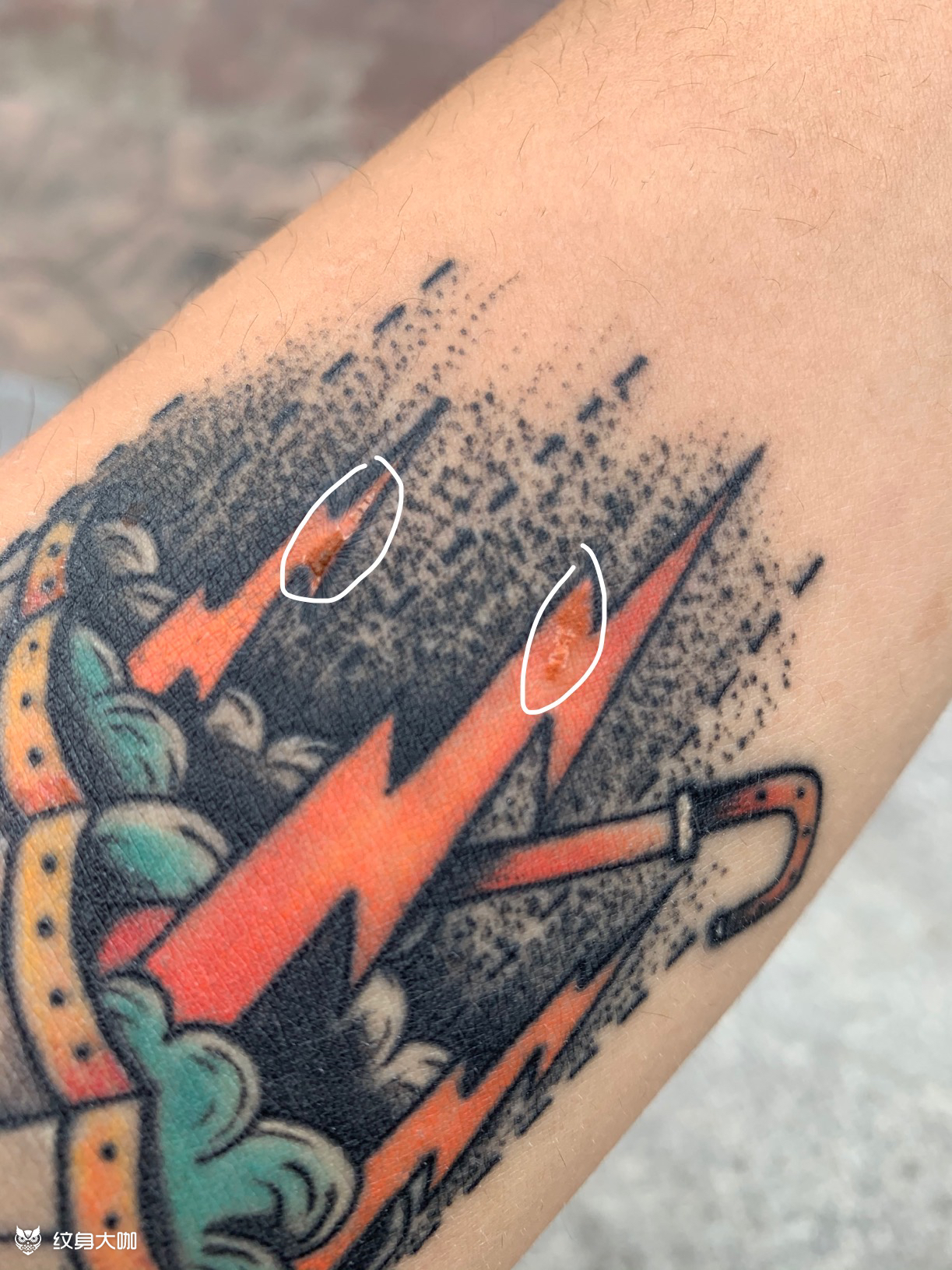 几块到底能不能好了我干,好慌 11 4 11条评论写评论 95a勿忘我95