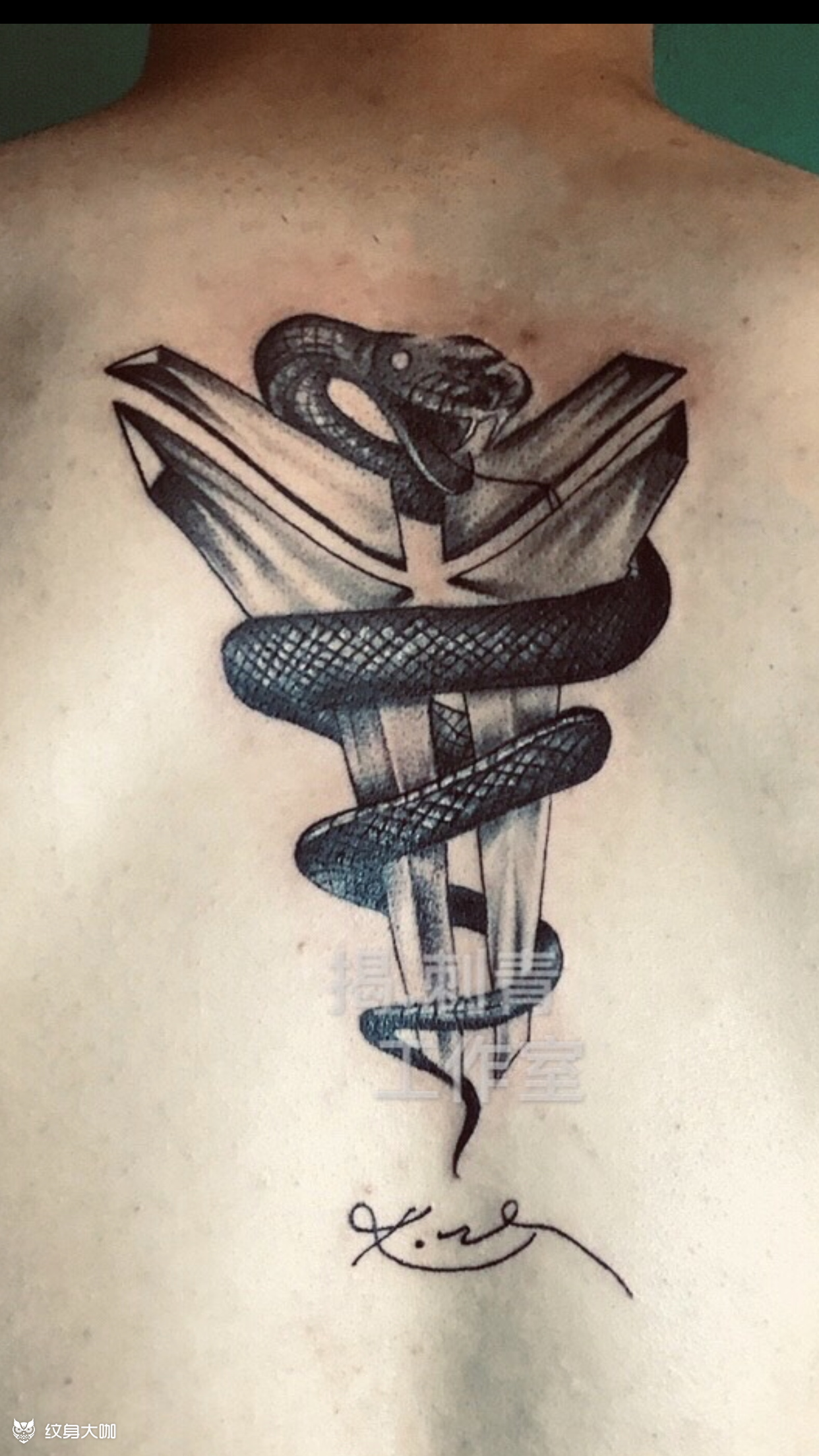 黑曼巴蛇缠绕倒三角科比logo_纹身图案手稿图片_揭.