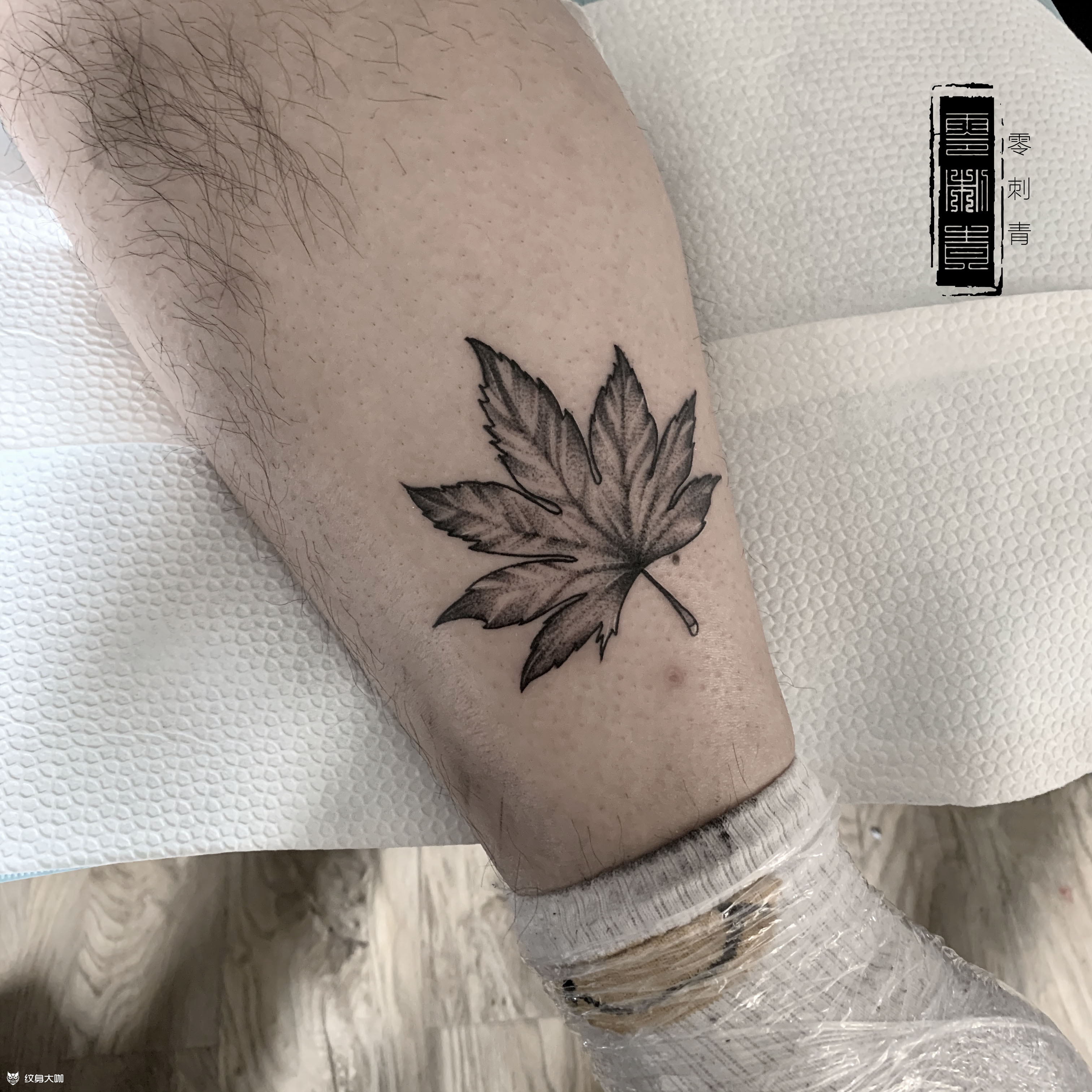 枫叶_纹身图案手稿图片_circle的纹身作品集