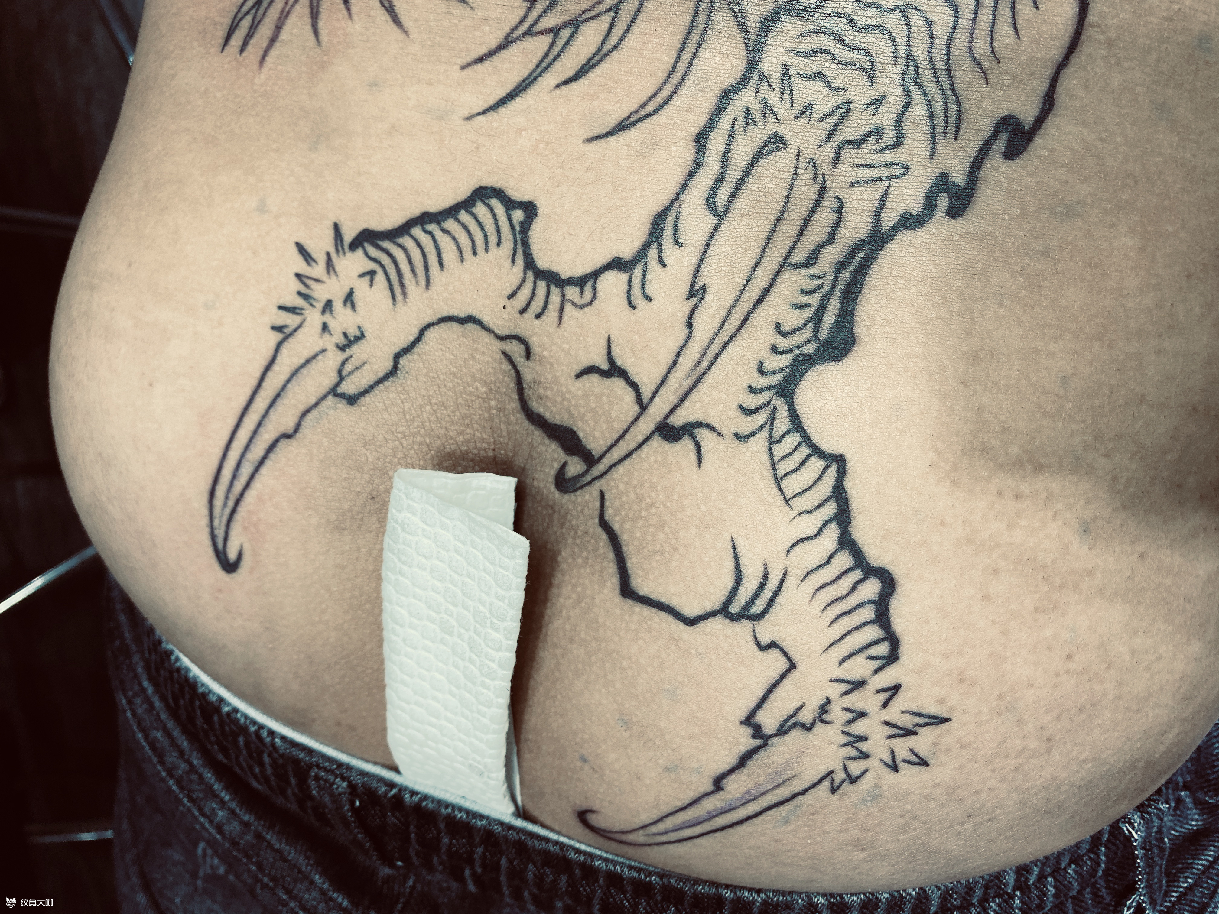 龙爪_纹身图案手稿图片_刺客的纹身作品集