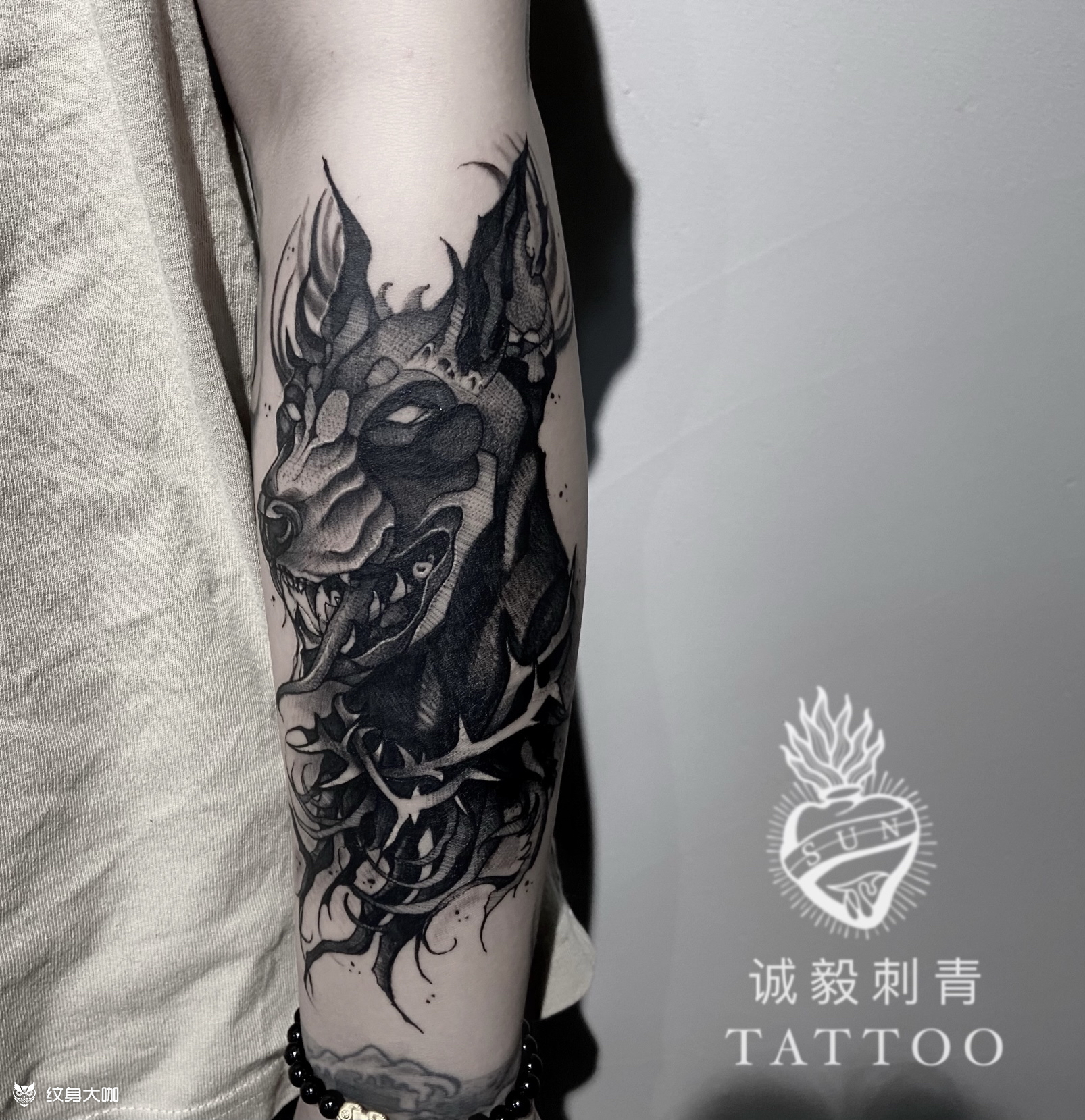 地狱犬_纹身图案手稿图片_林的纹身作品集