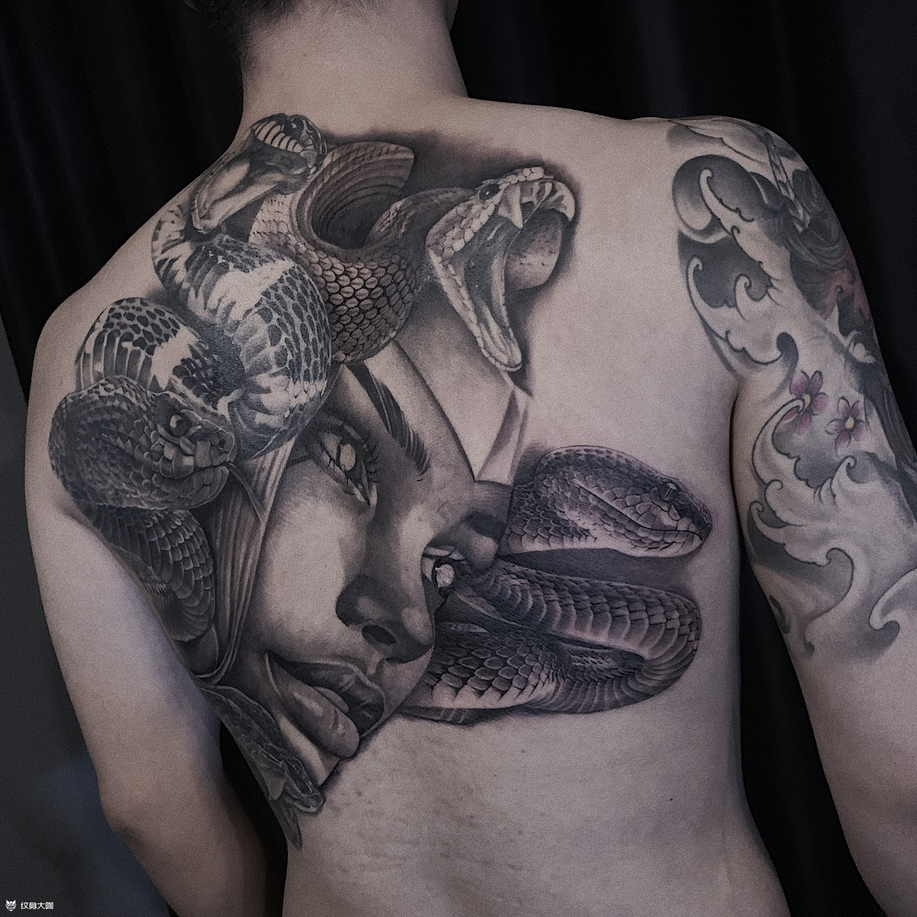 满背美杜莎进度