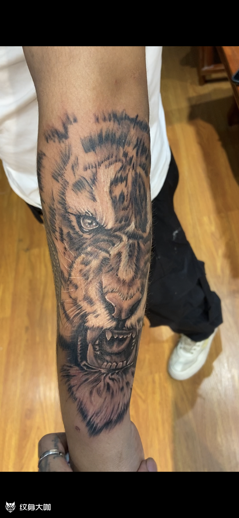 虎_纹身图案手稿图片_强子的纹身作品集