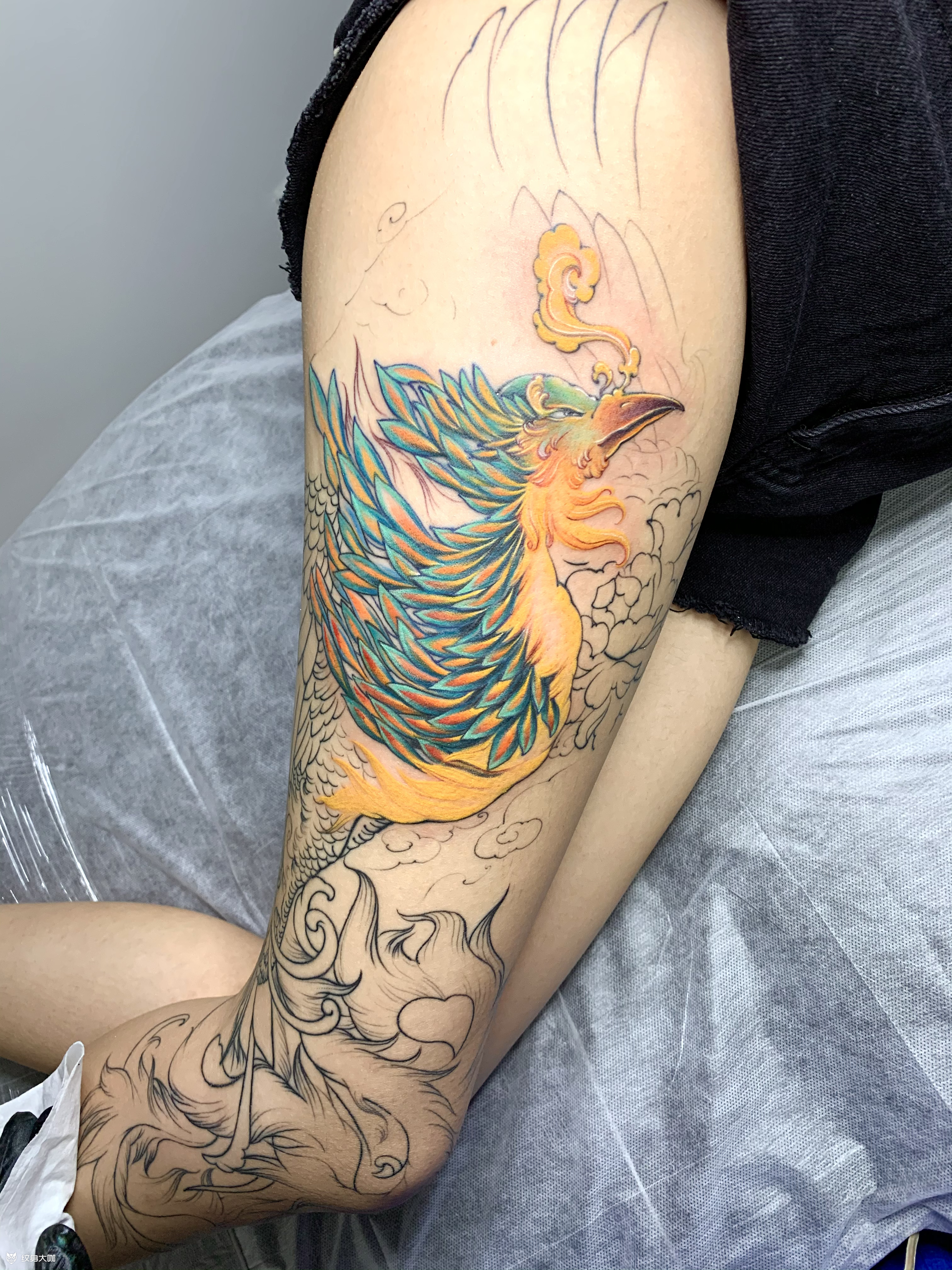 青鸾_纹身图案手稿图片_金子的纹身作品集