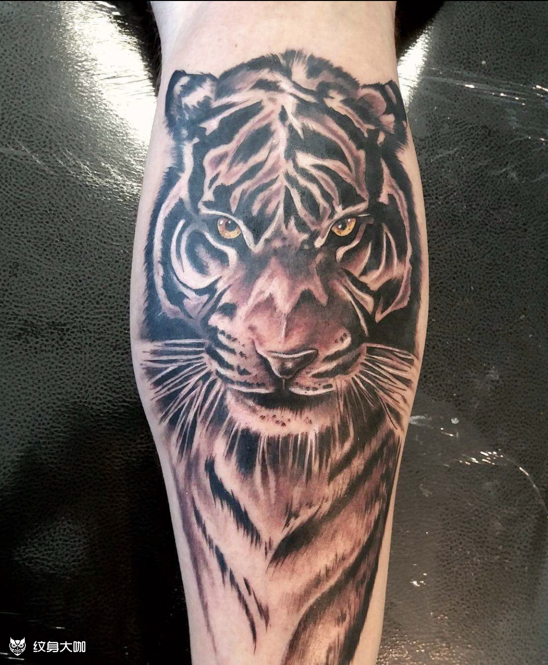 小腿老虎_纹身图案手稿图片_纹艺tatto的纹身作品集