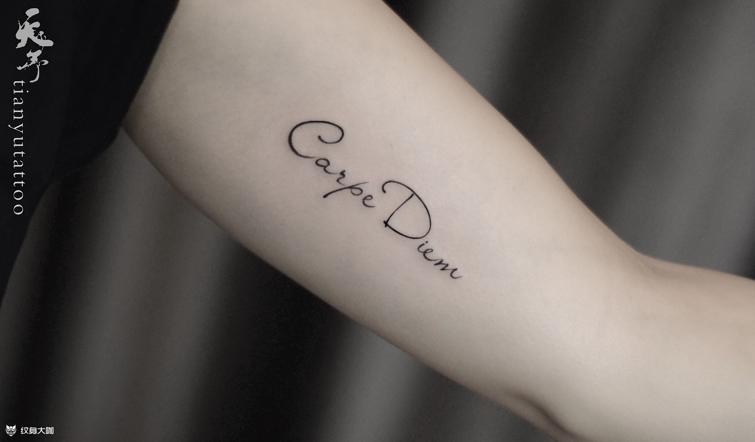 【字母作品】 carpe di_纹身吧社区 - 纹身大咖