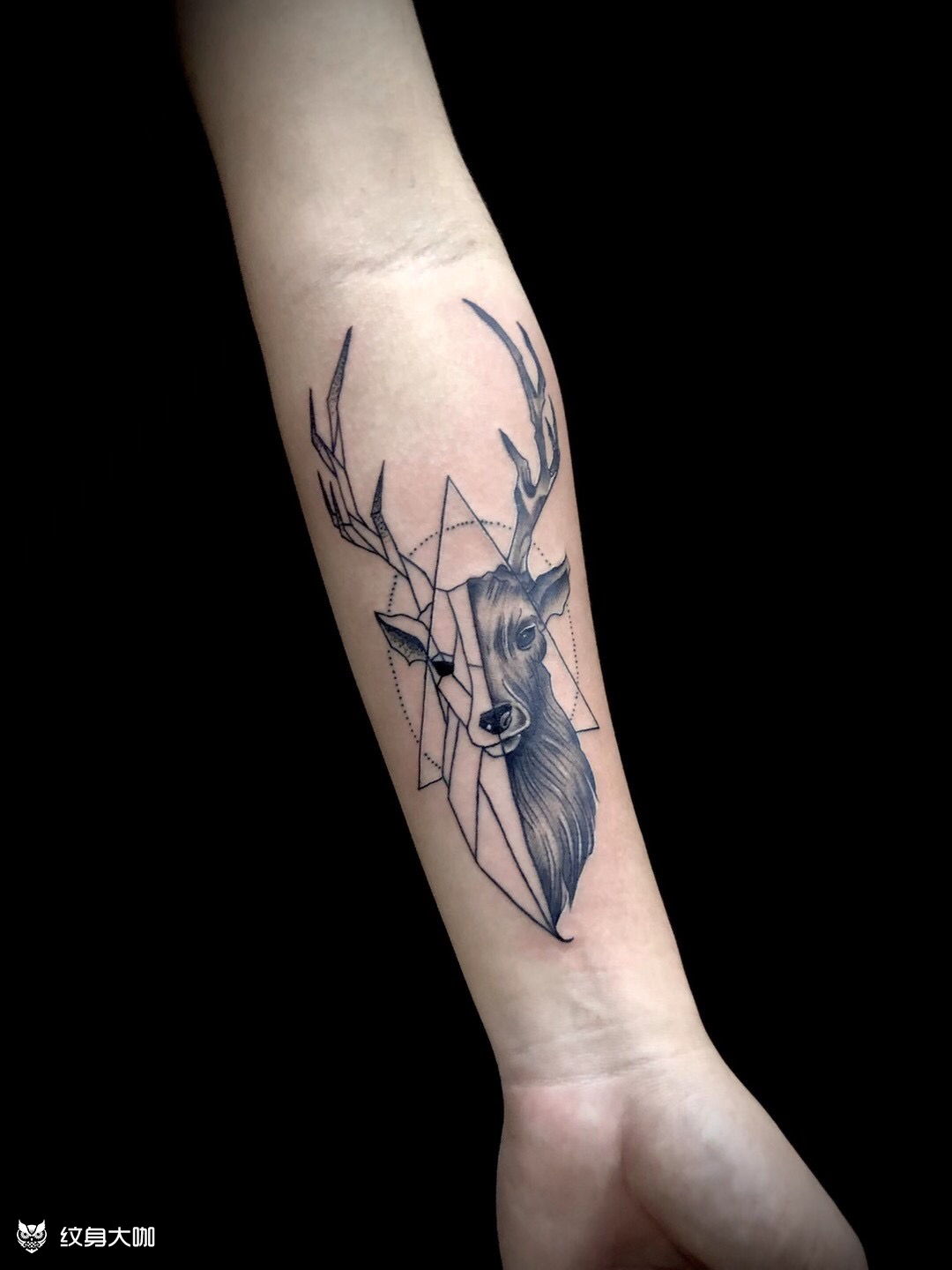 鹿_纹身图案手稿图片_a k的纹身作品集