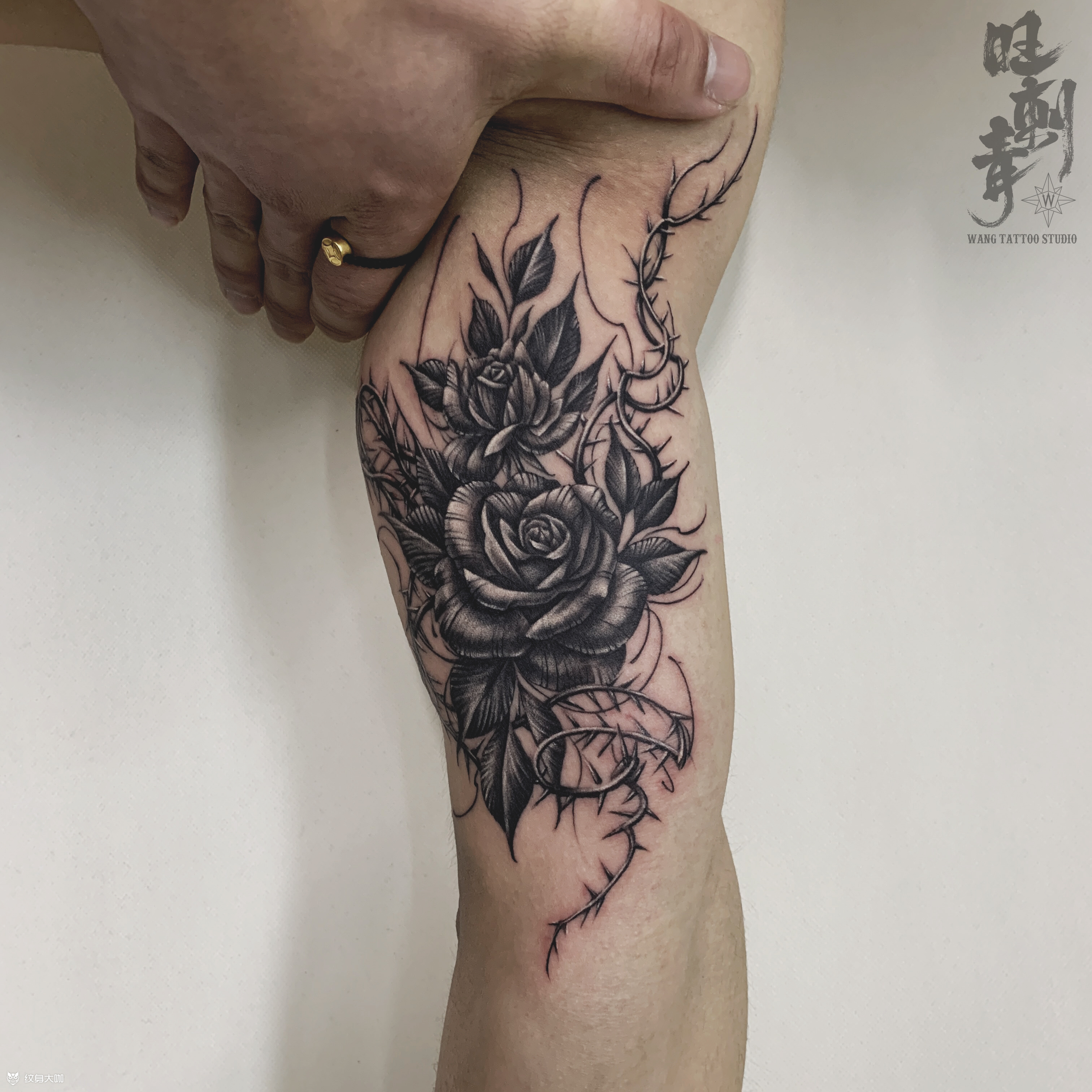 玫瑰花90荆棘_纹身图案手稿图片_刘兴旺的纹身作品集