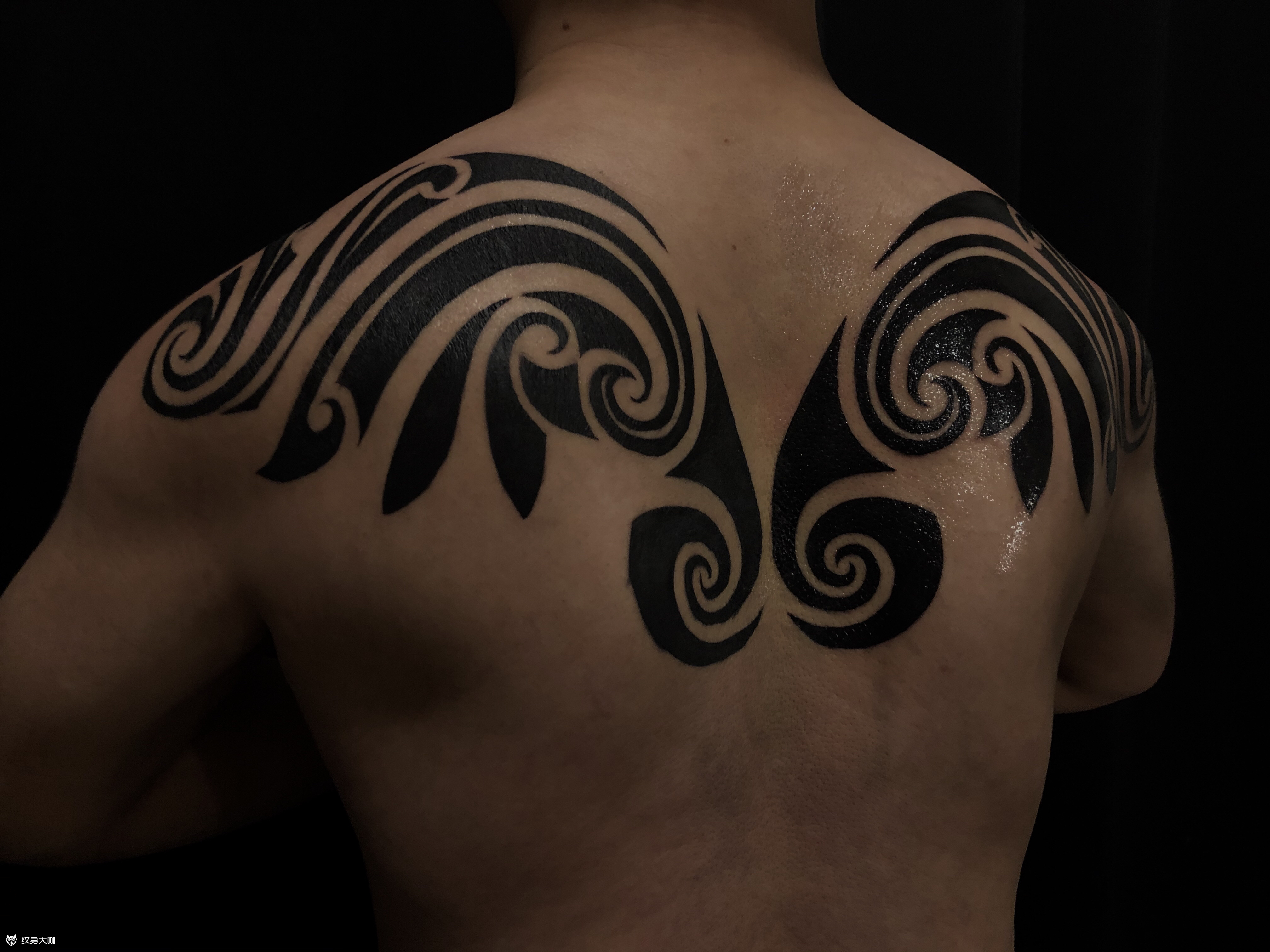 图腾_纹身图案手稿图片_cl_go1o的纹身作品集