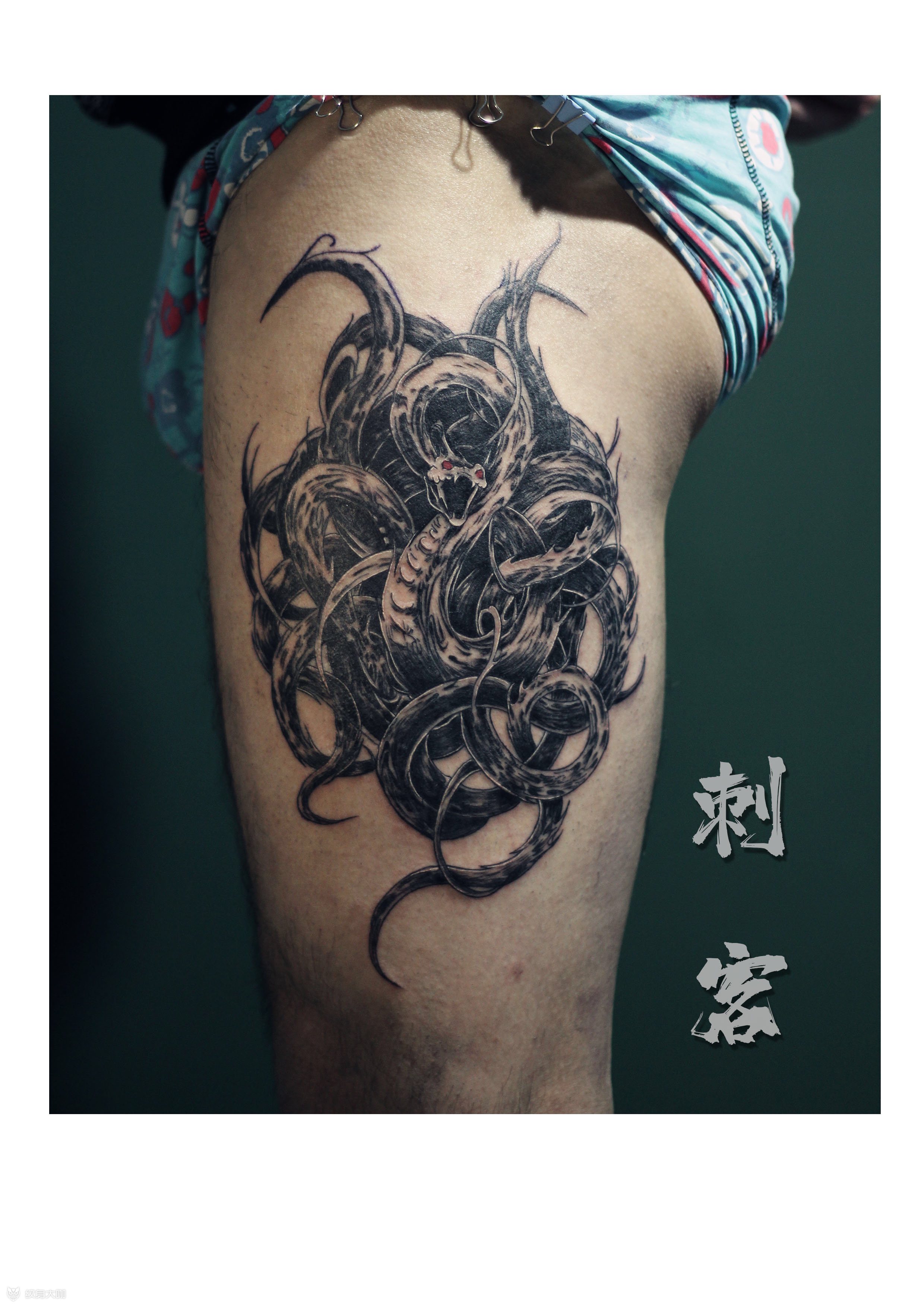 九头蛇纹身胸口手稿图片