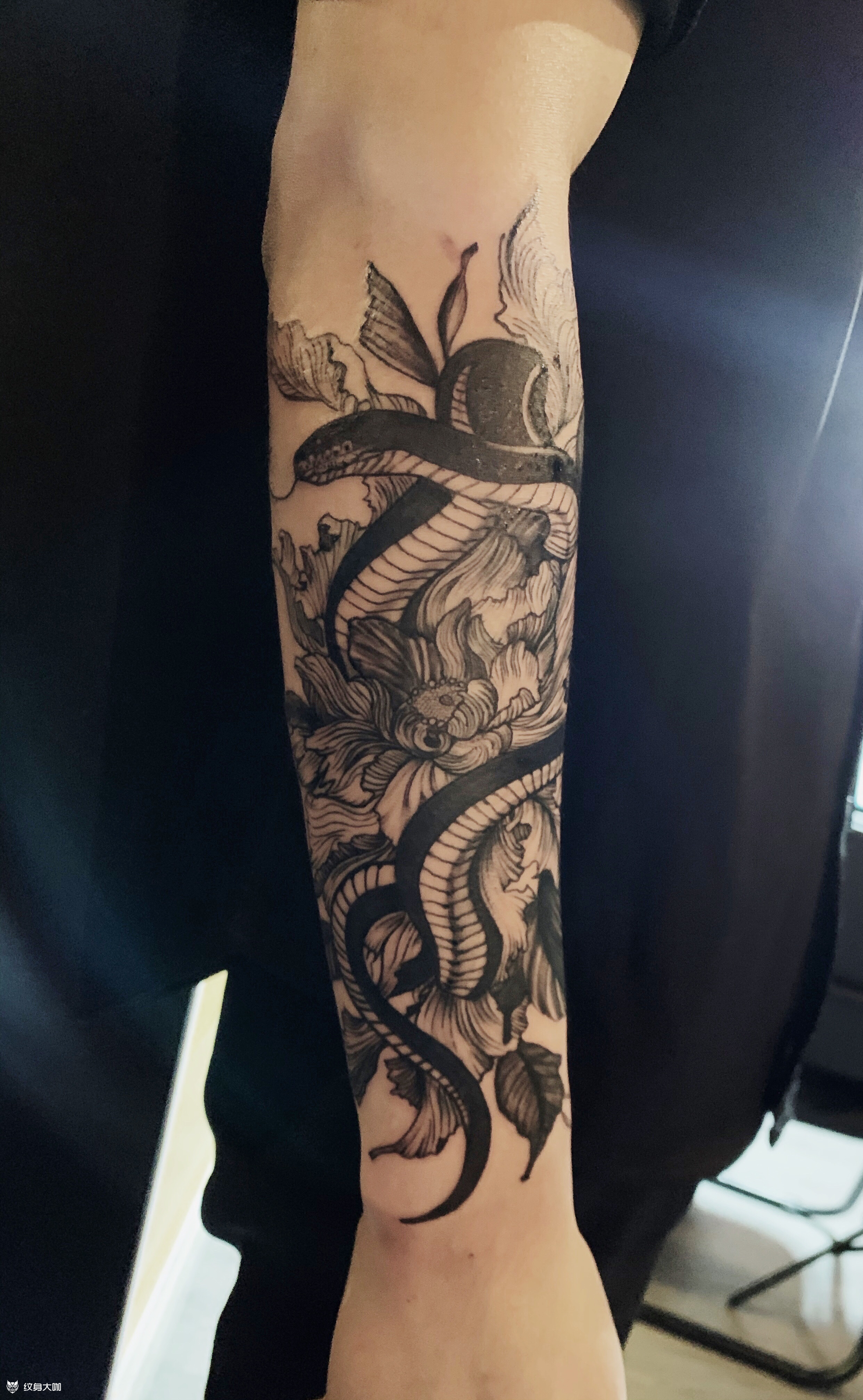 蛇_纹身图案手稿图片_白泽的纹身作品集