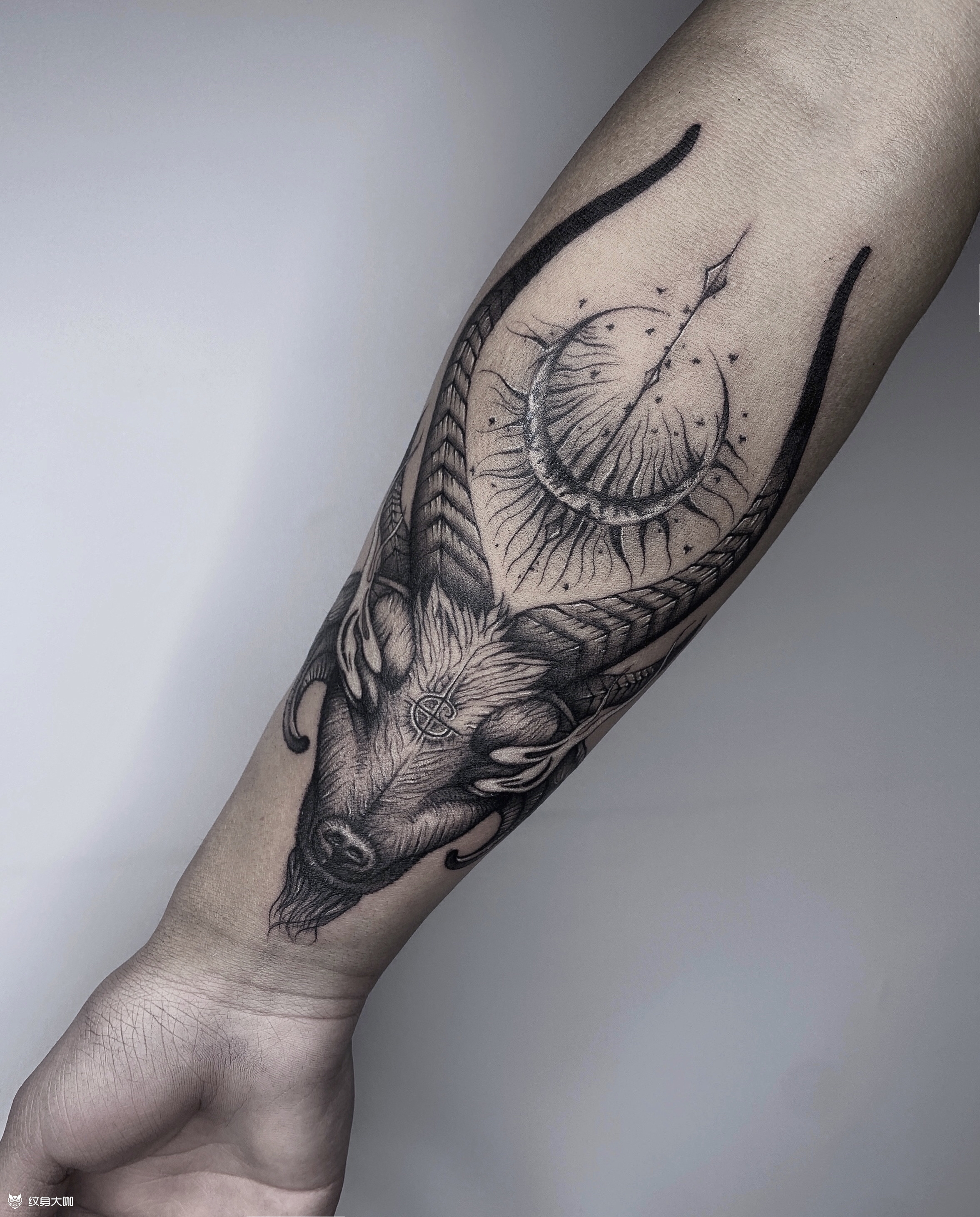 羊头纹身手臂图片