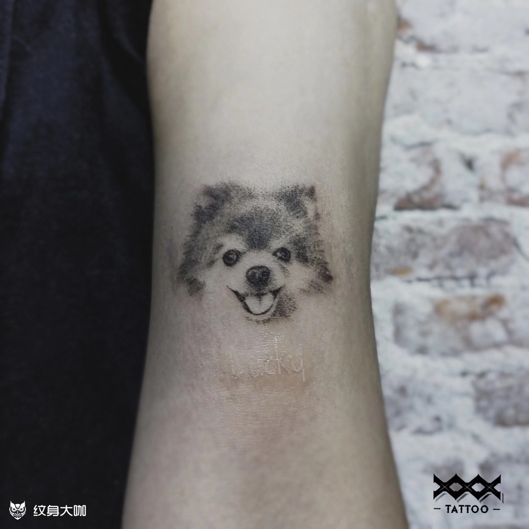 可爱的小狗_纹身图案手稿图片_王权威的纹身作品集