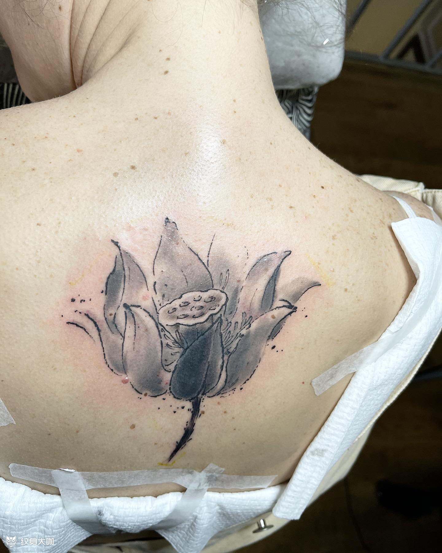 莲花「 莲花 」 new_纹身吧社区 - 纹身大咖