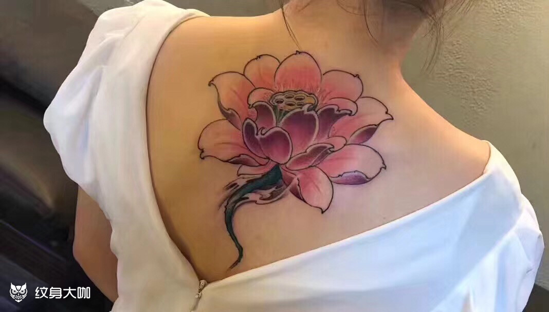 后背荷花纹身_纹身图案手稿图片_老王的纹身作品集