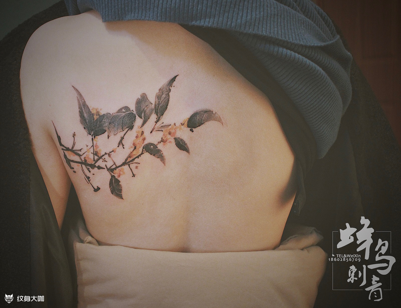 桂花枝_纹身图案手稿图片_小常的纹身作品集