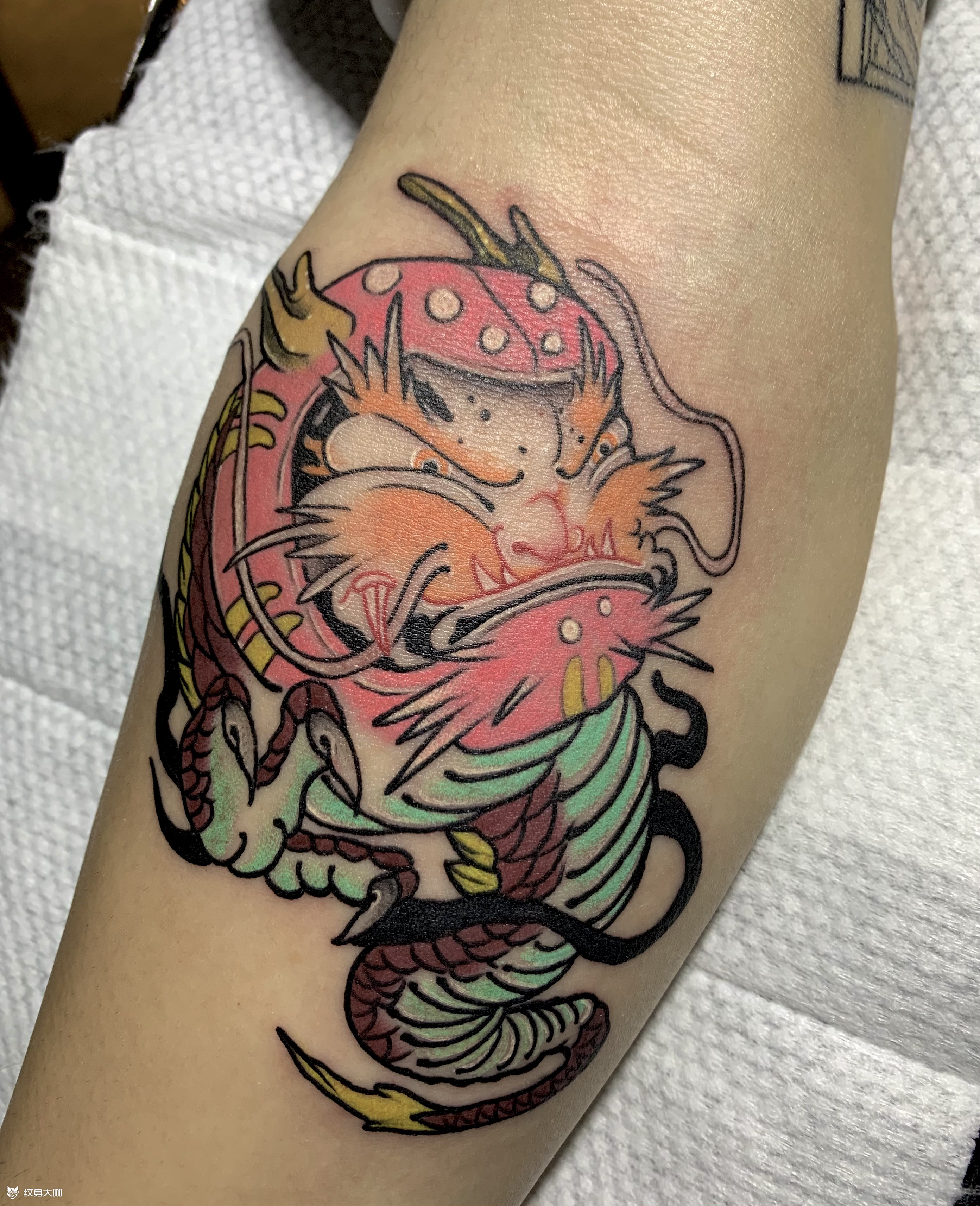 日式达摩_纹身图案手稿图片_怪咖大蛙的纹身作品集