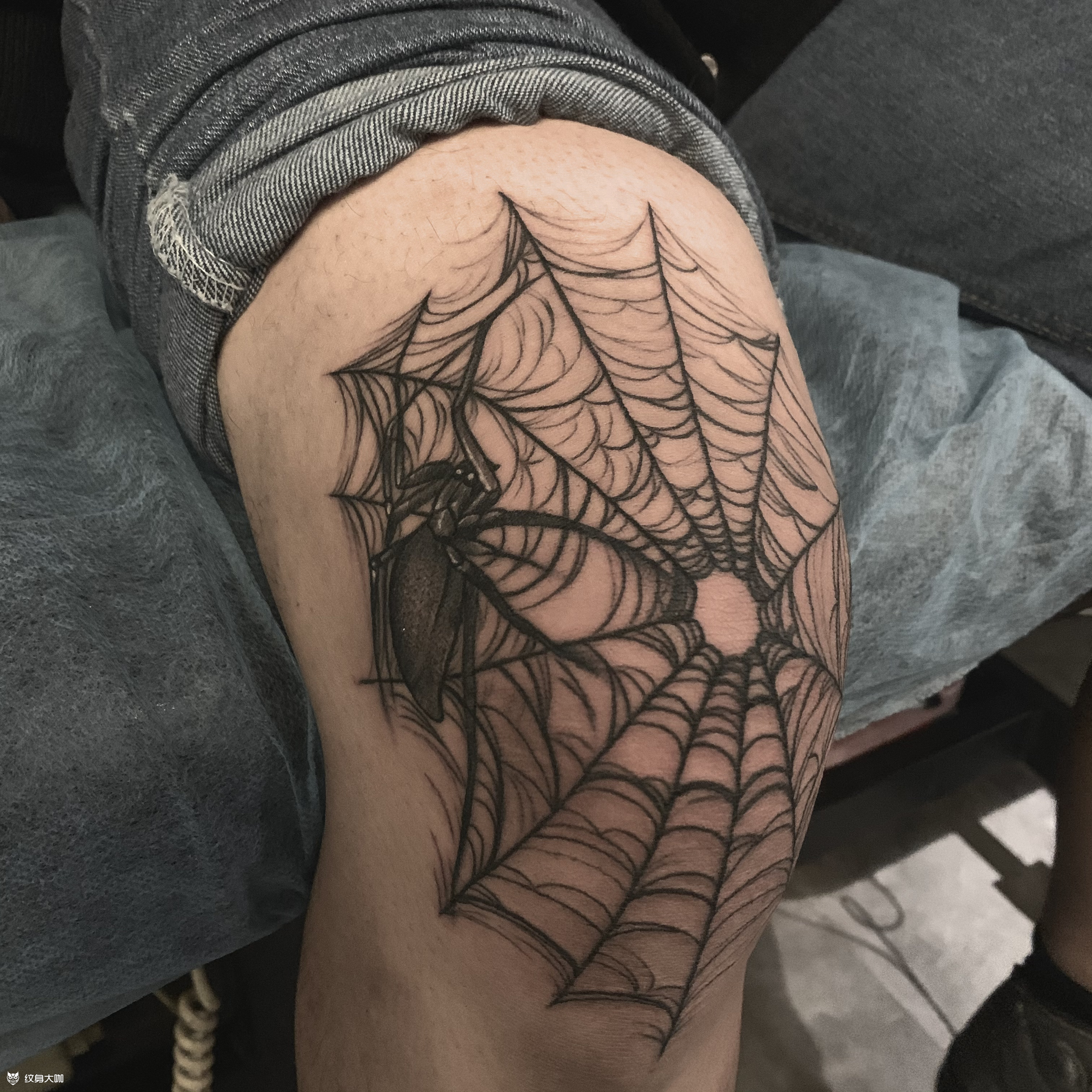 暗黑蜘蛛网_纹身图案手稿图片_怪咖大蛙的纹身作品集