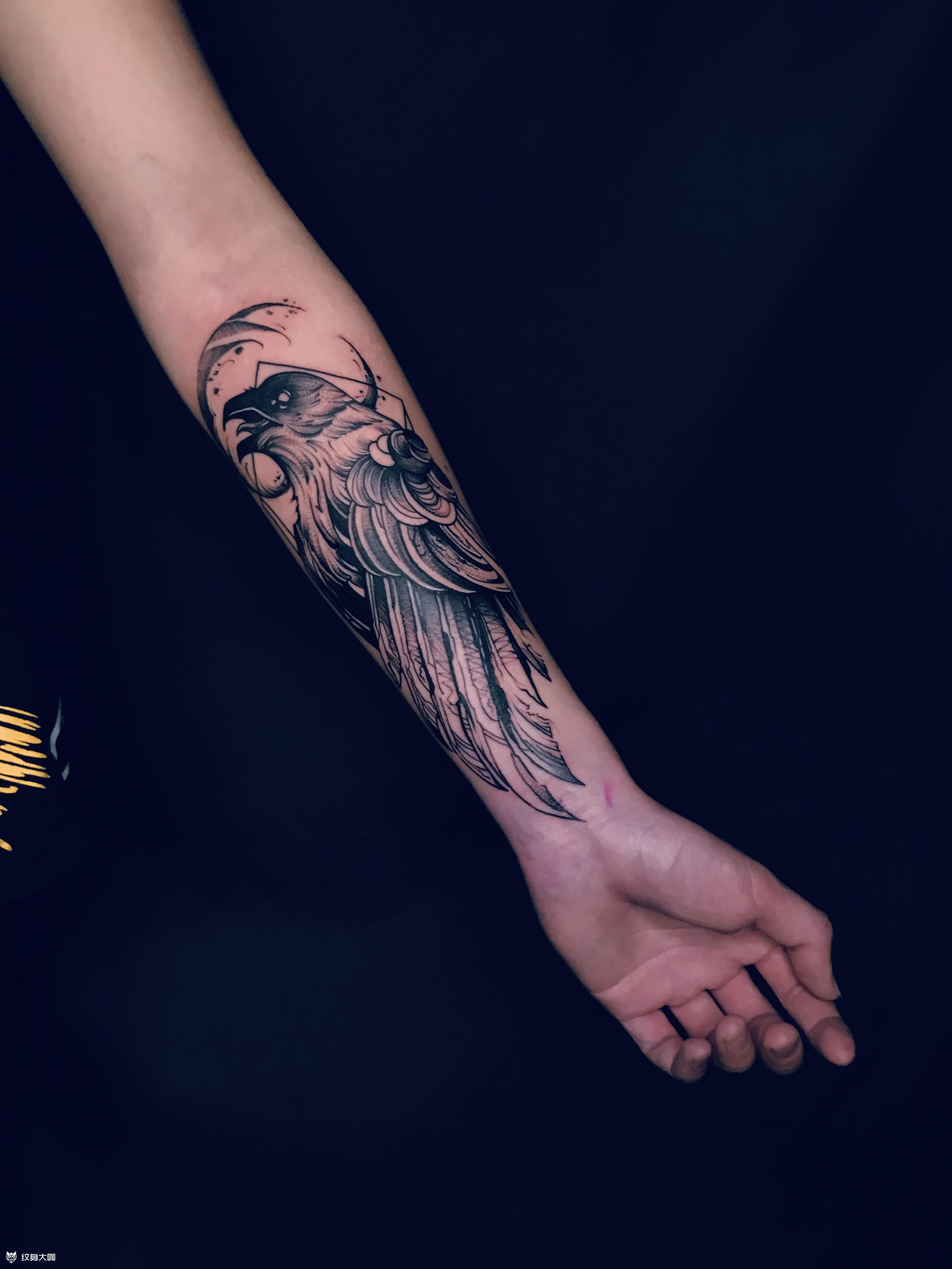 乌鸦_纹身图案手稿图片_fc的纹身作品集
