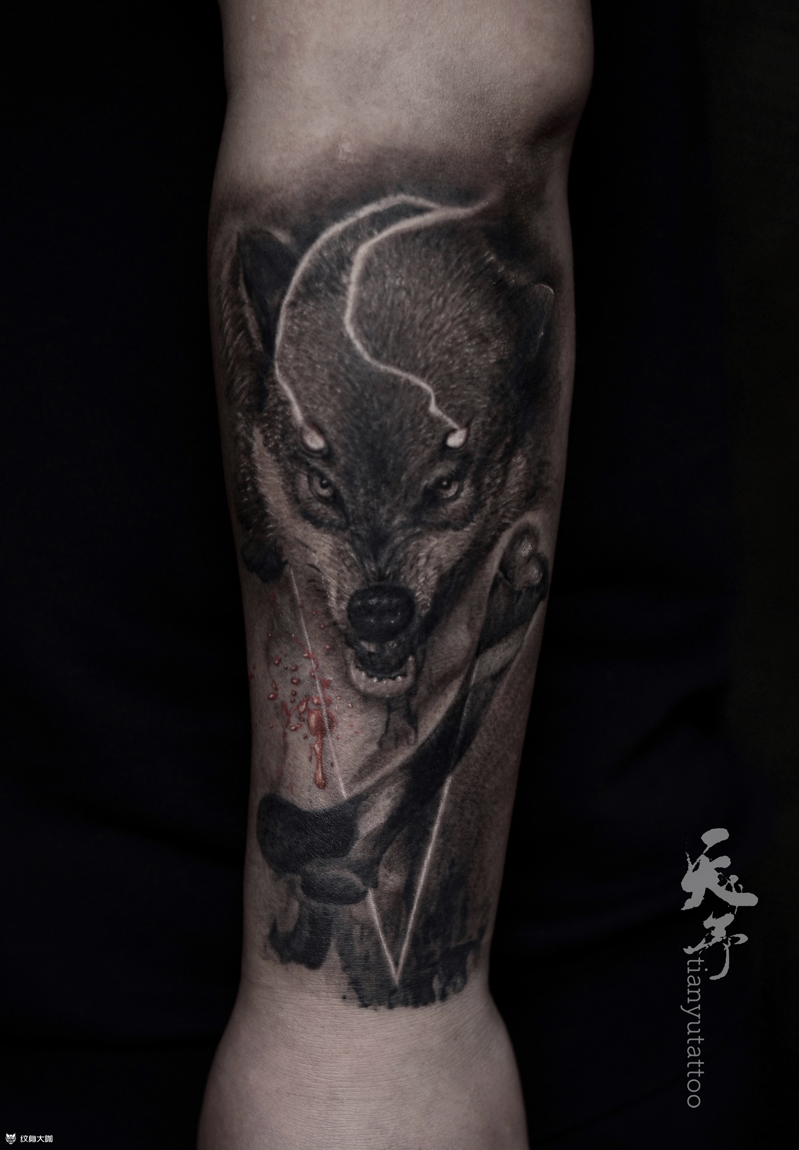 写实作品 狼92 _纹身图案手稿图片_天予客服的纹身作品集