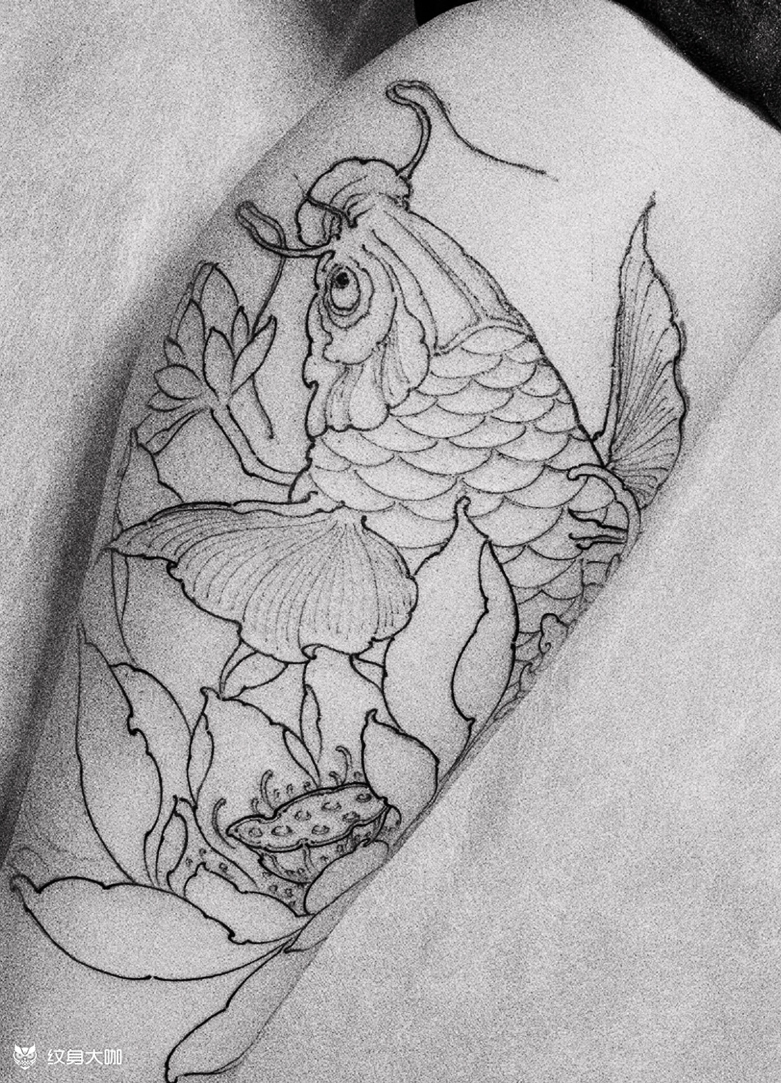 新传统鲤鱼线条_纹身图案手稿图片_王海涛的纹身作品集