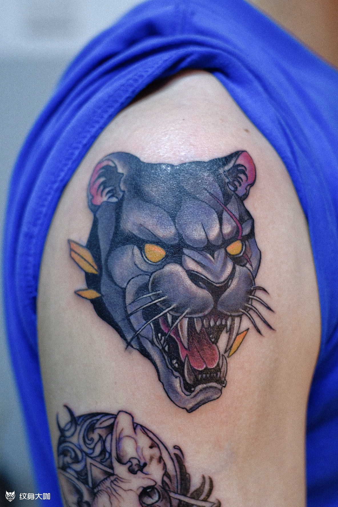 豹子,司芬克斯_纹身图案手稿图片_桑田的纹身作品集