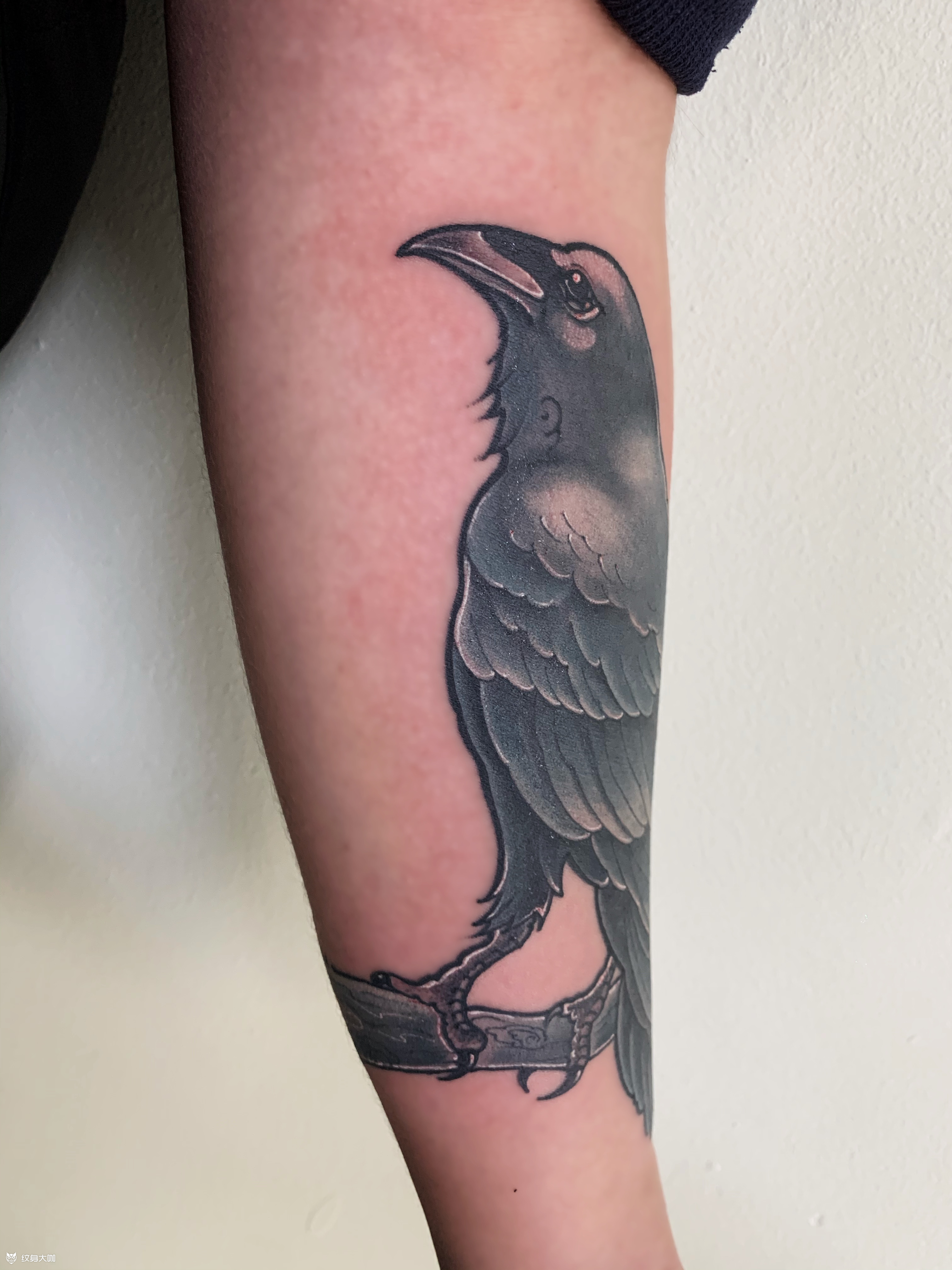 乌鸦_纹身图案手稿图片_俊俏的纹身作品集
