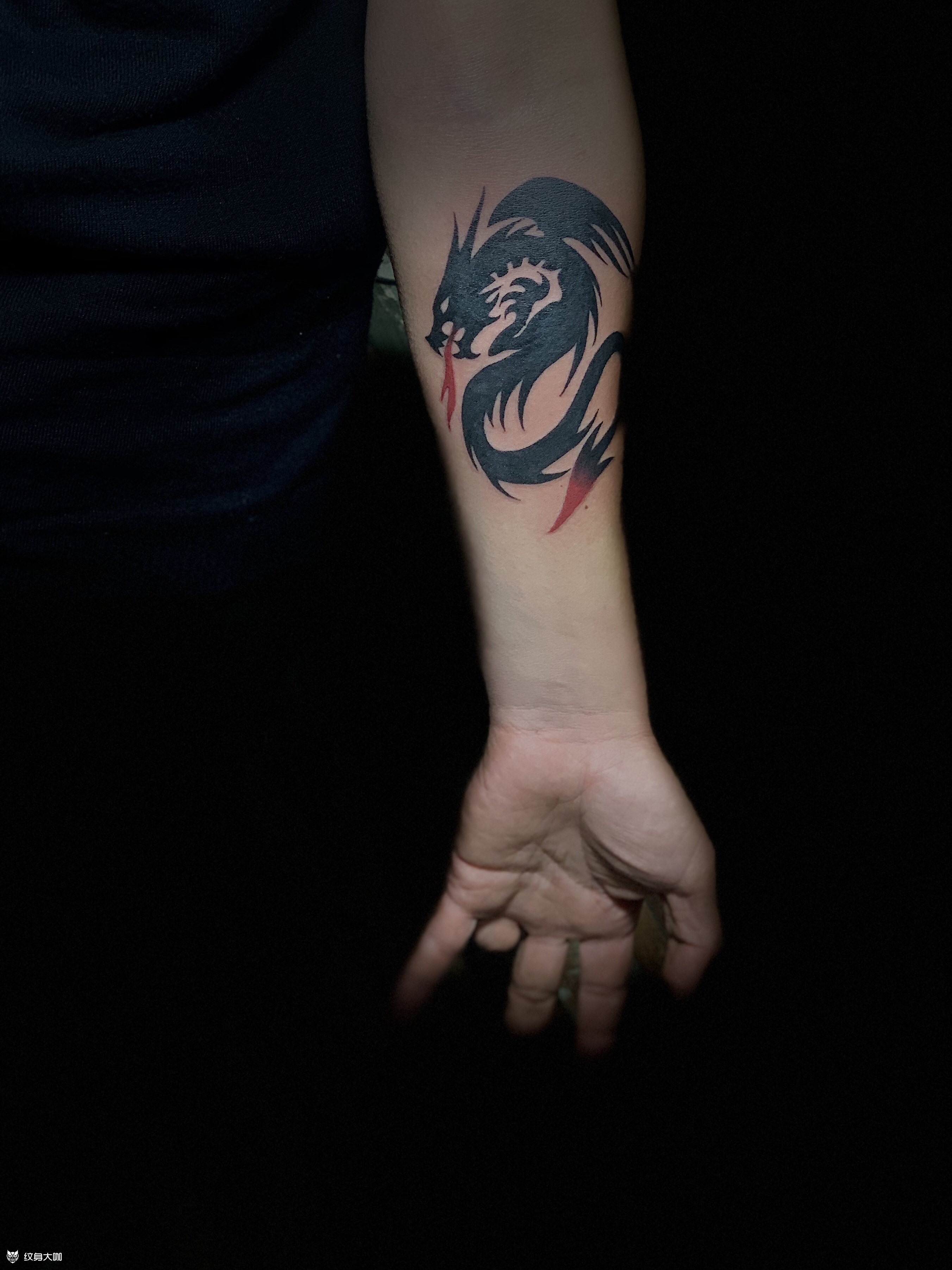 手臂图腾龙纹身