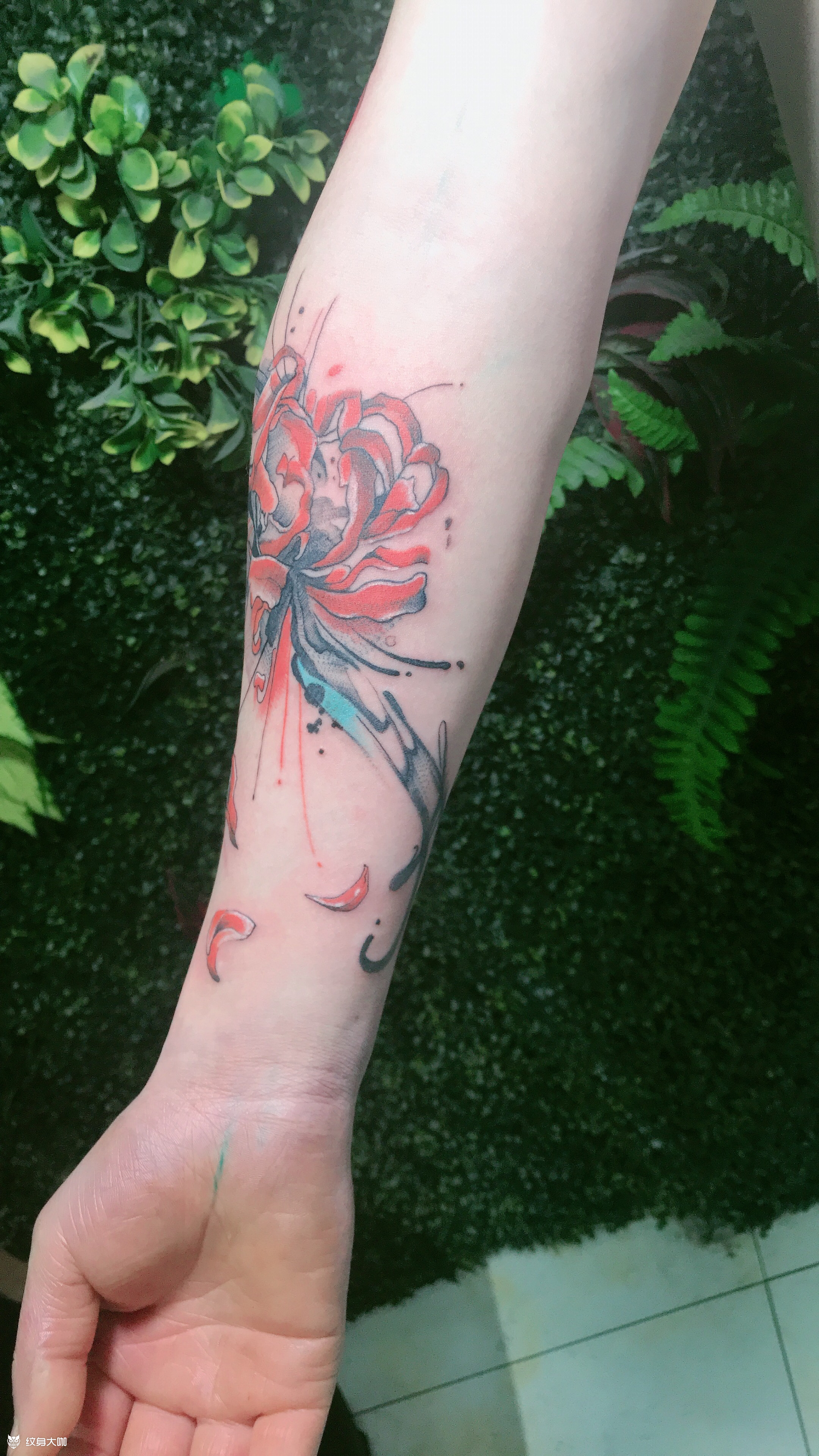 彼岸花_纹身图案手稿图片_梁春峰的纹身作品集