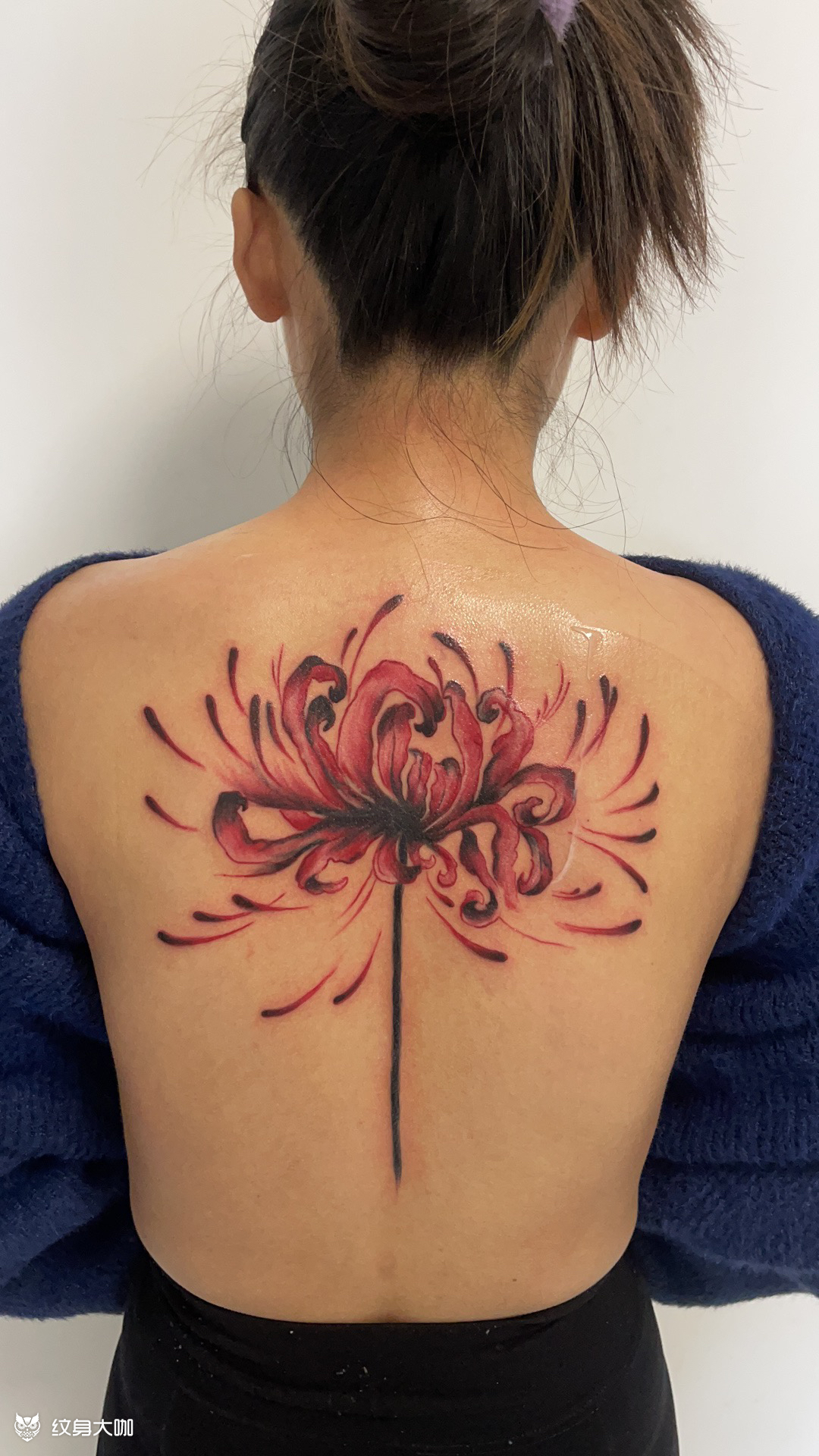 彼岸花_纹身图案手稿图片_silence的纹身作品集